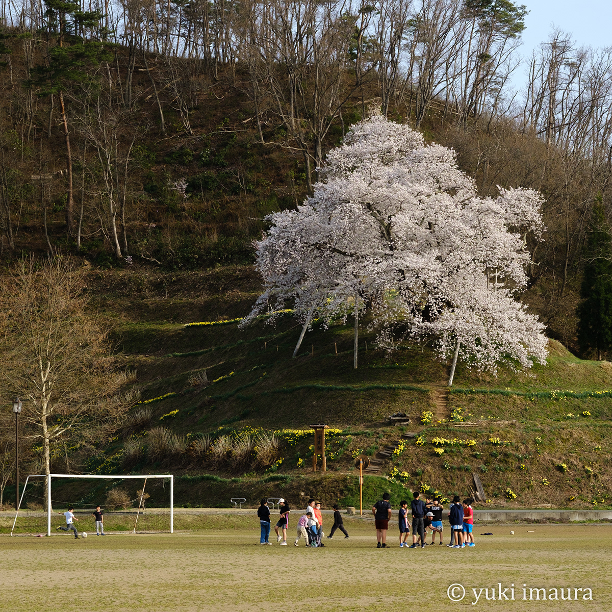 写真家 今浦友喜 Portfoliospring
