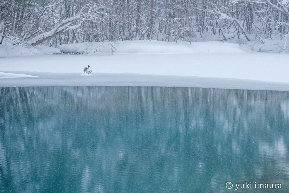 写真家 今浦友喜 Portfoliowinter