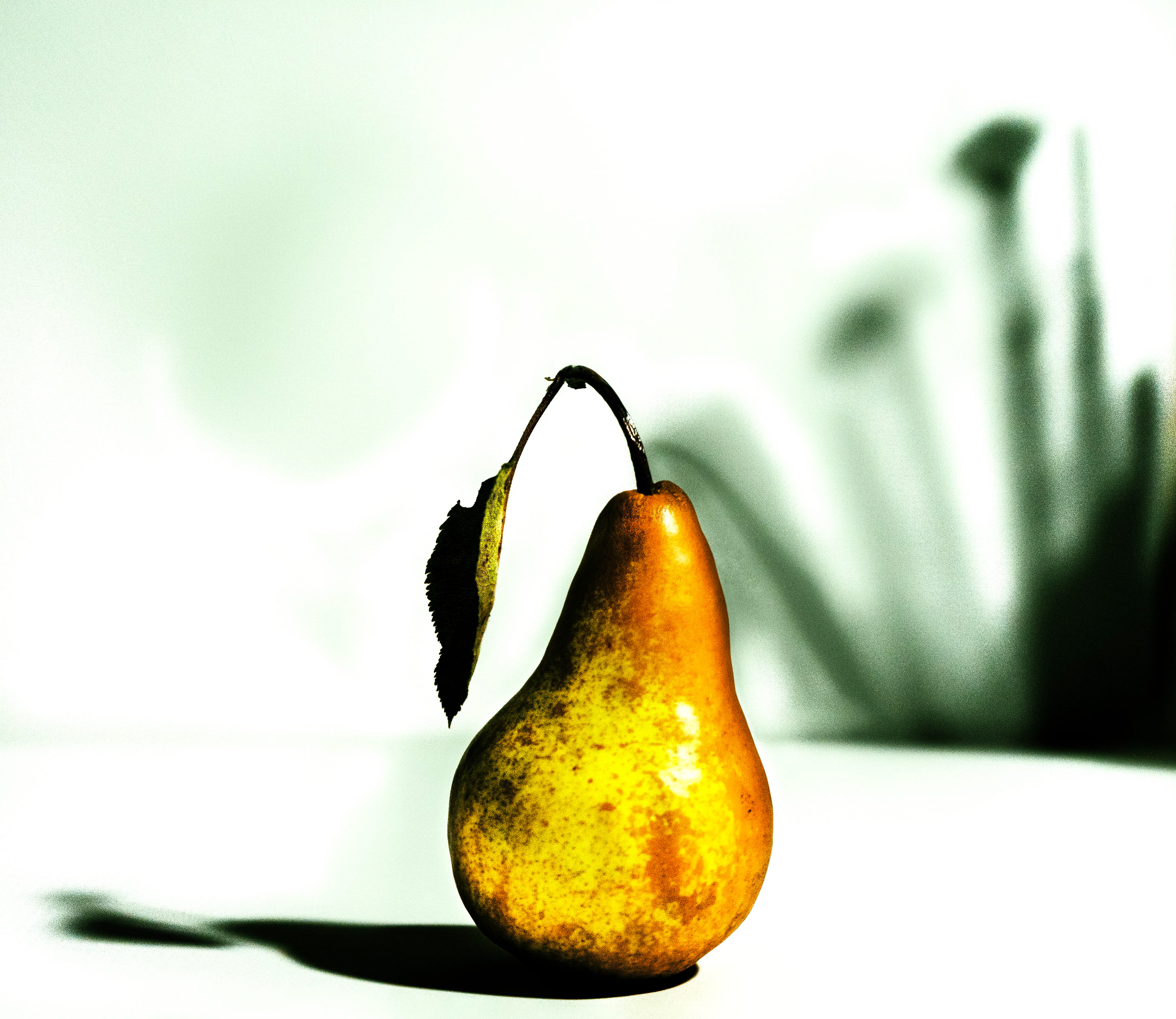 O i'm the Pear not the apple