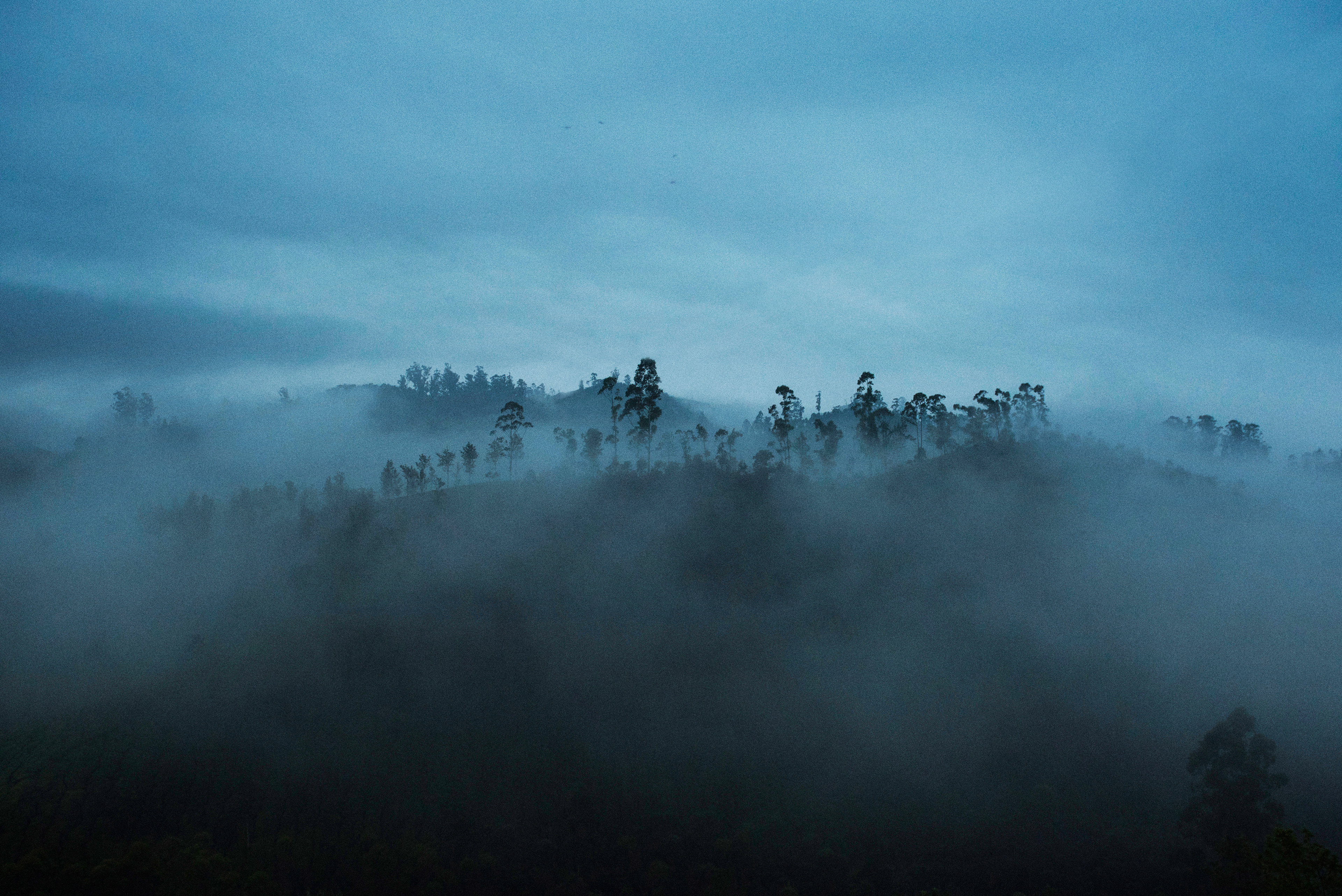 Misty Mornings - India