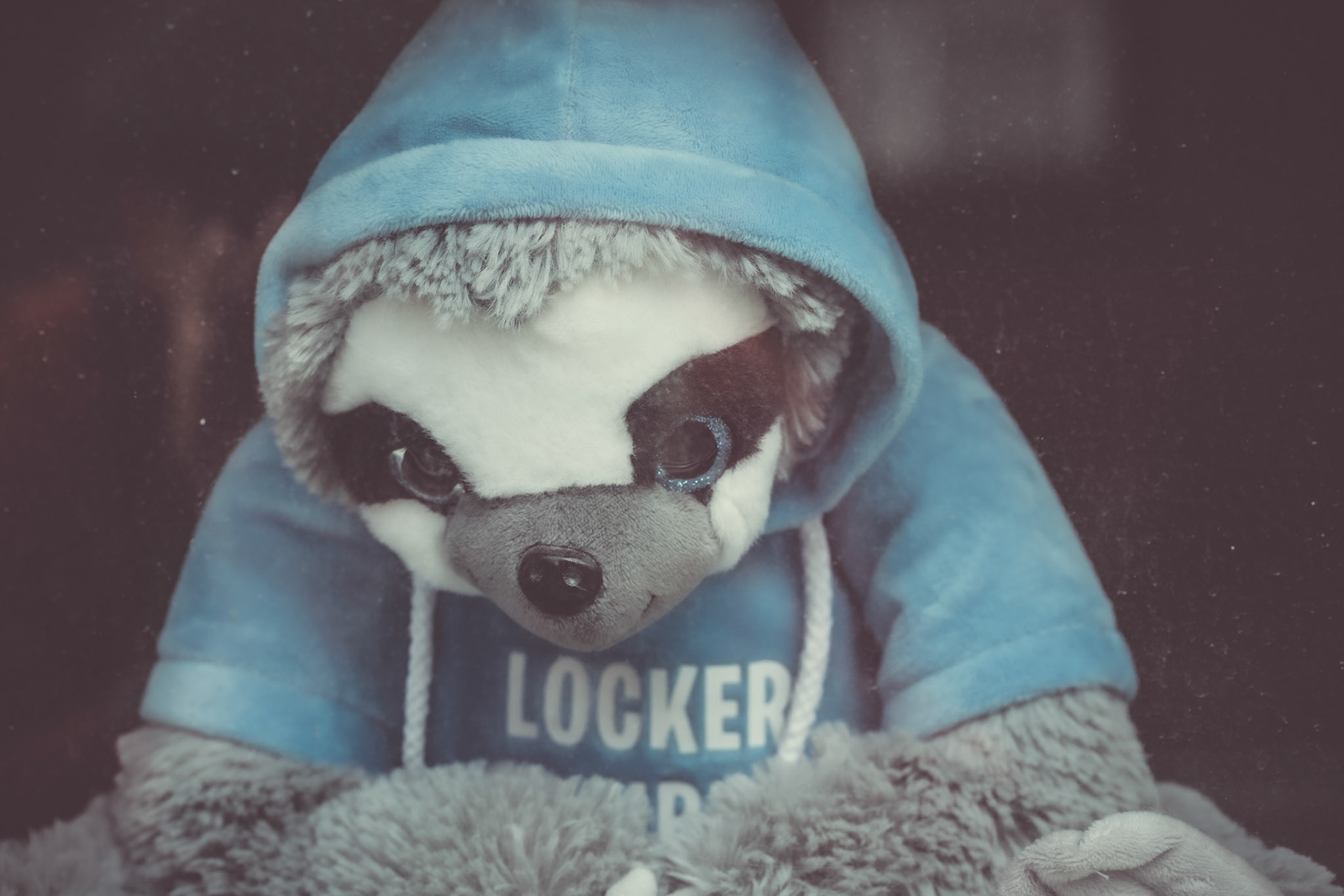 Bleib locker