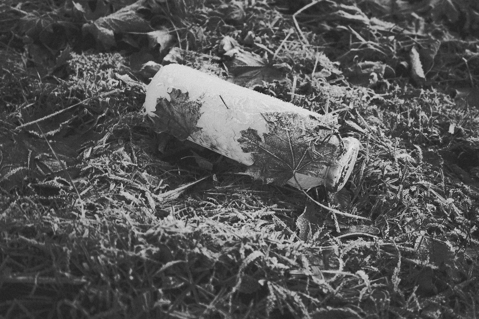 Flasche leer