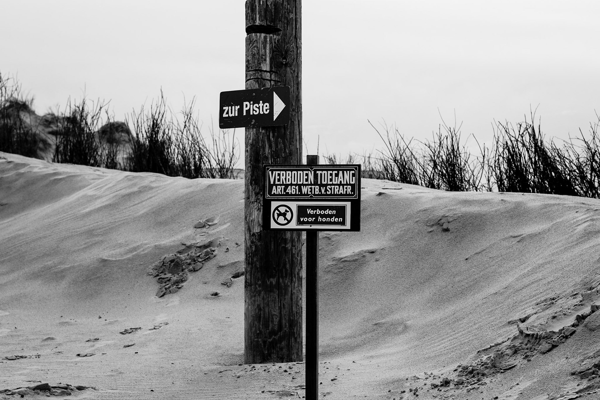 Zur Piste
