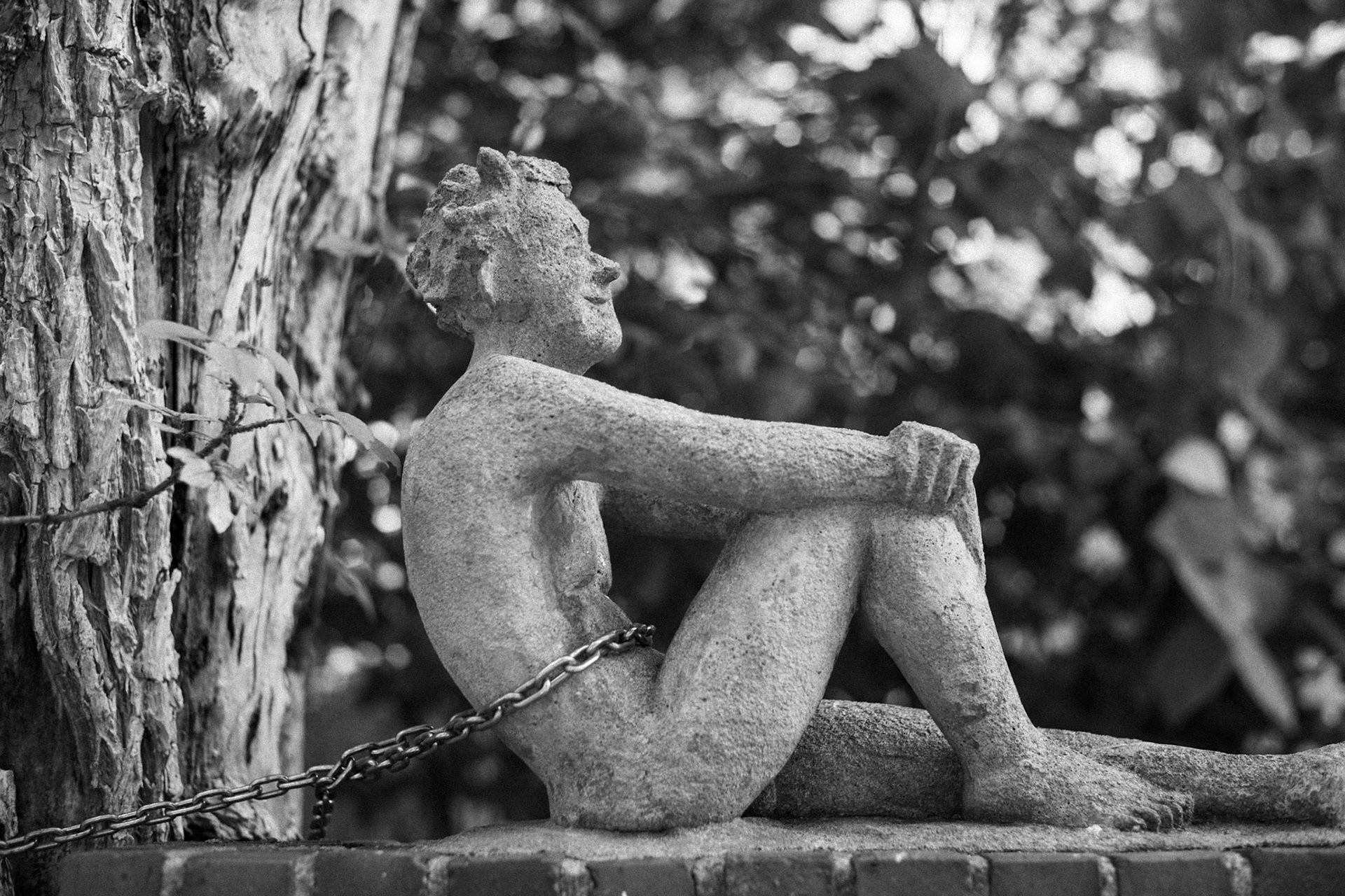 Fesselnde Leidenshchaft
