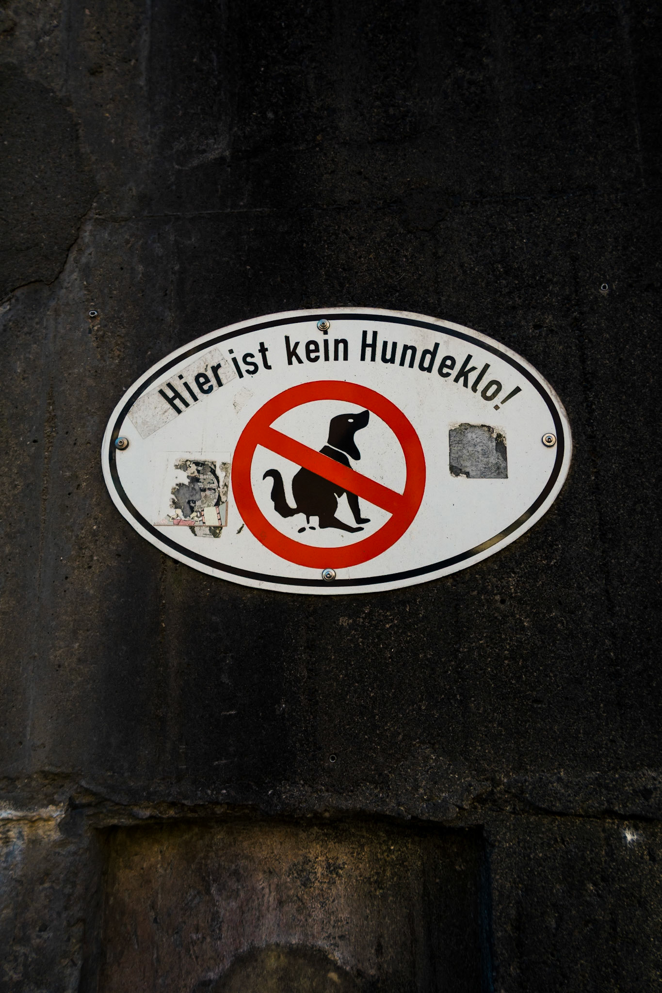 Kein Hundeklo