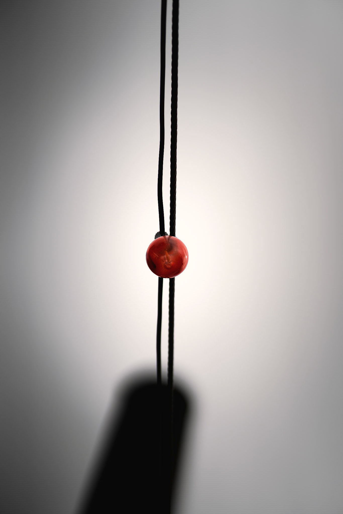 Letztes Licht