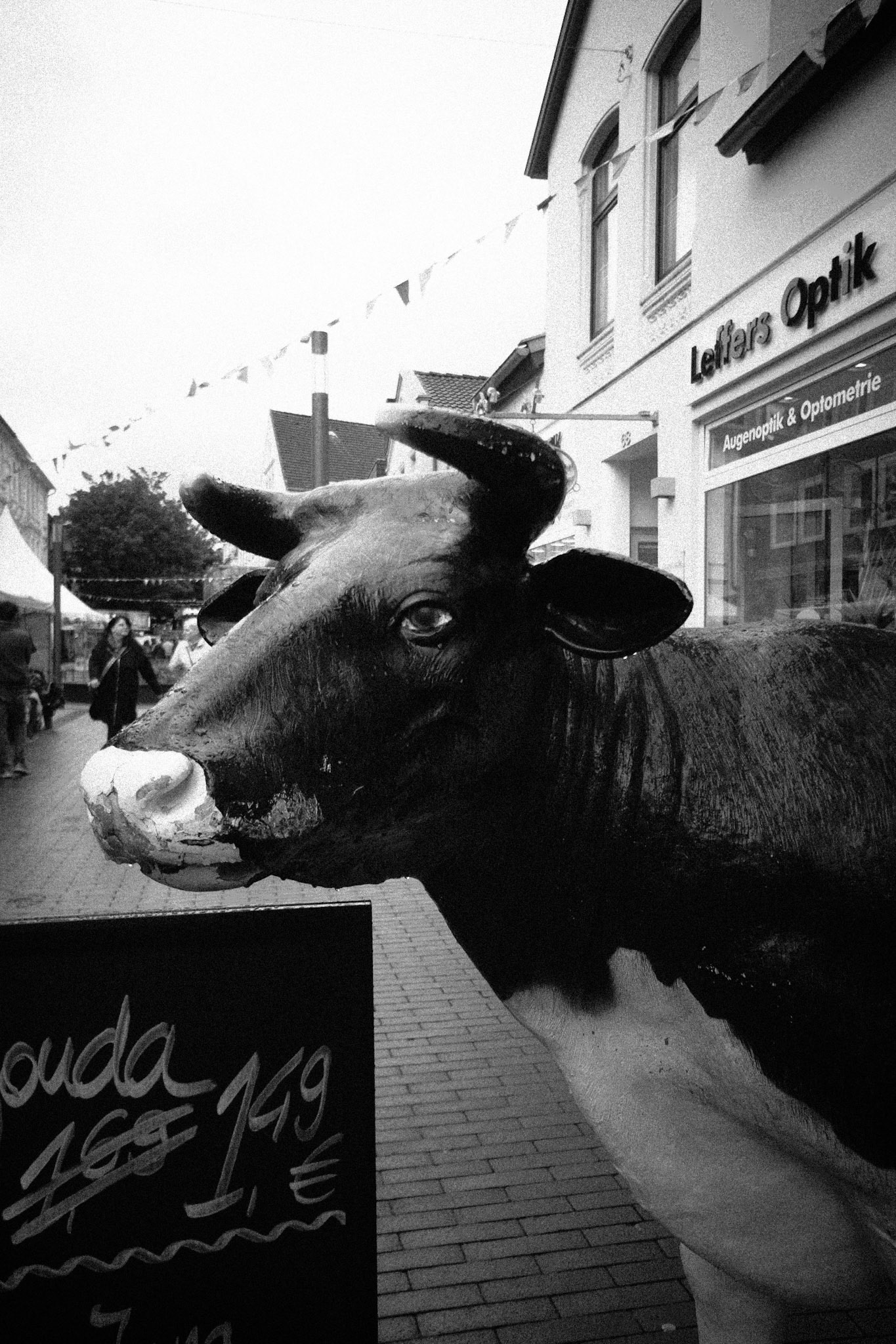 Gouda