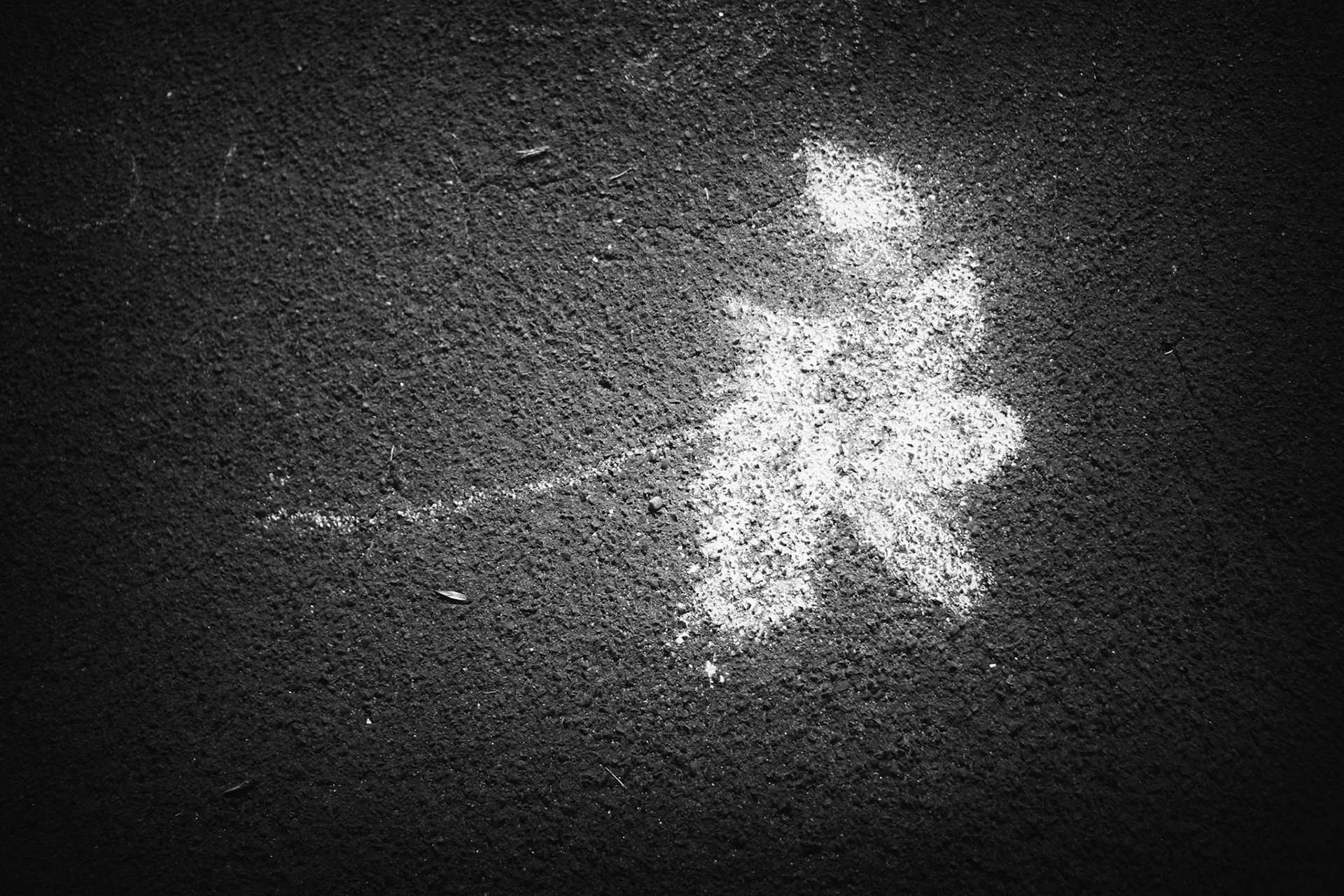 Straßenblume
