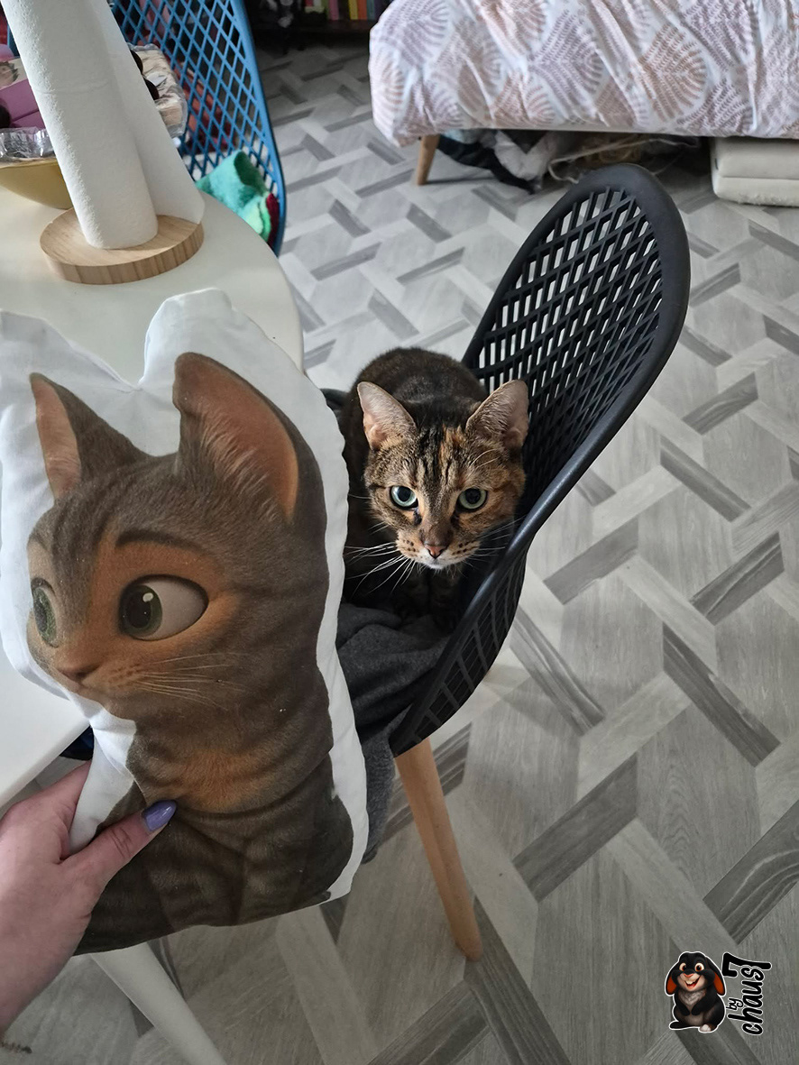 Kali