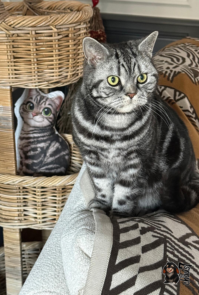 Totem