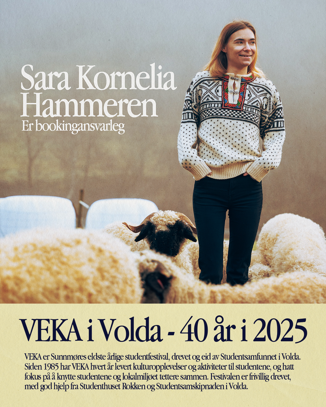 VEKA-styret