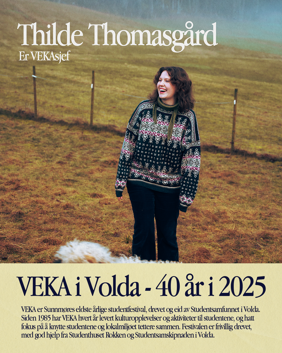 VEKA-styret