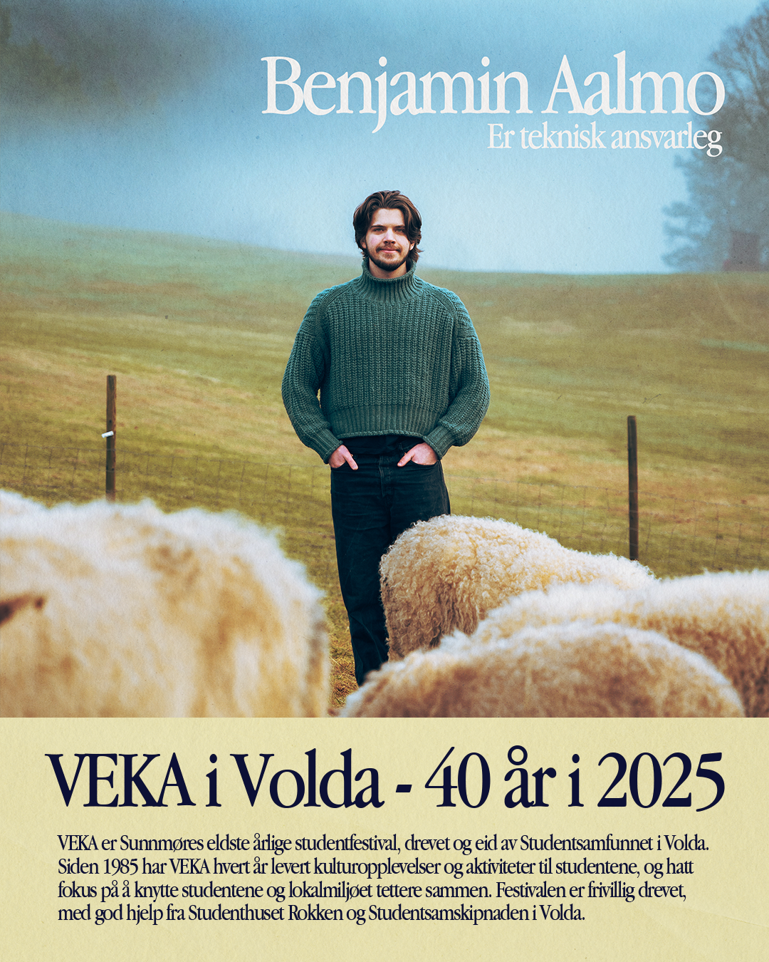 VEKA-styret