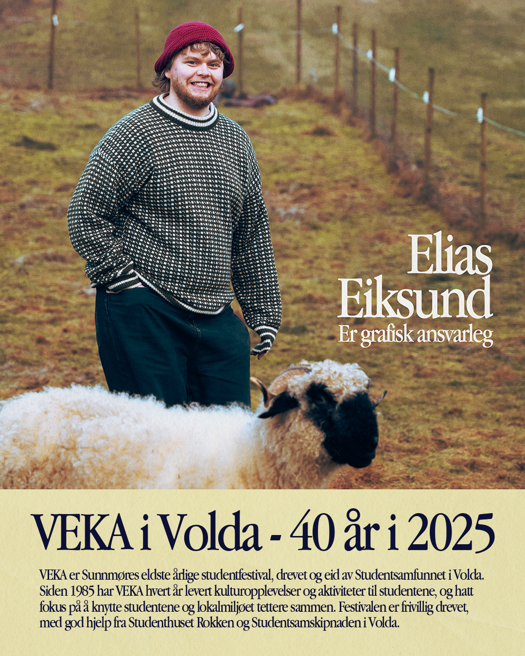 VEKA-styret