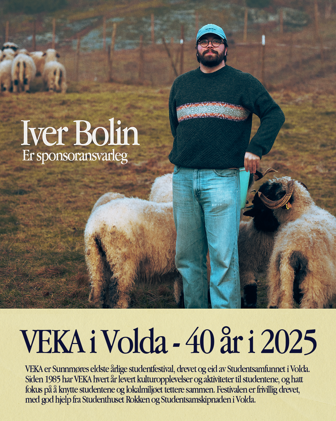 VEKA-styret