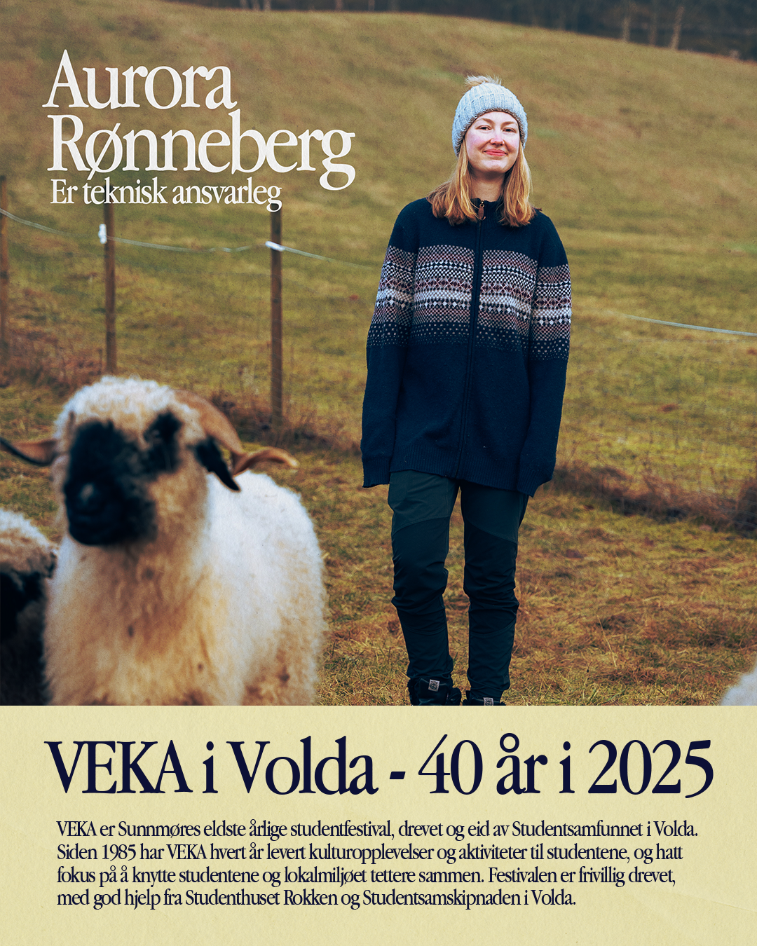 VEKA-styret
