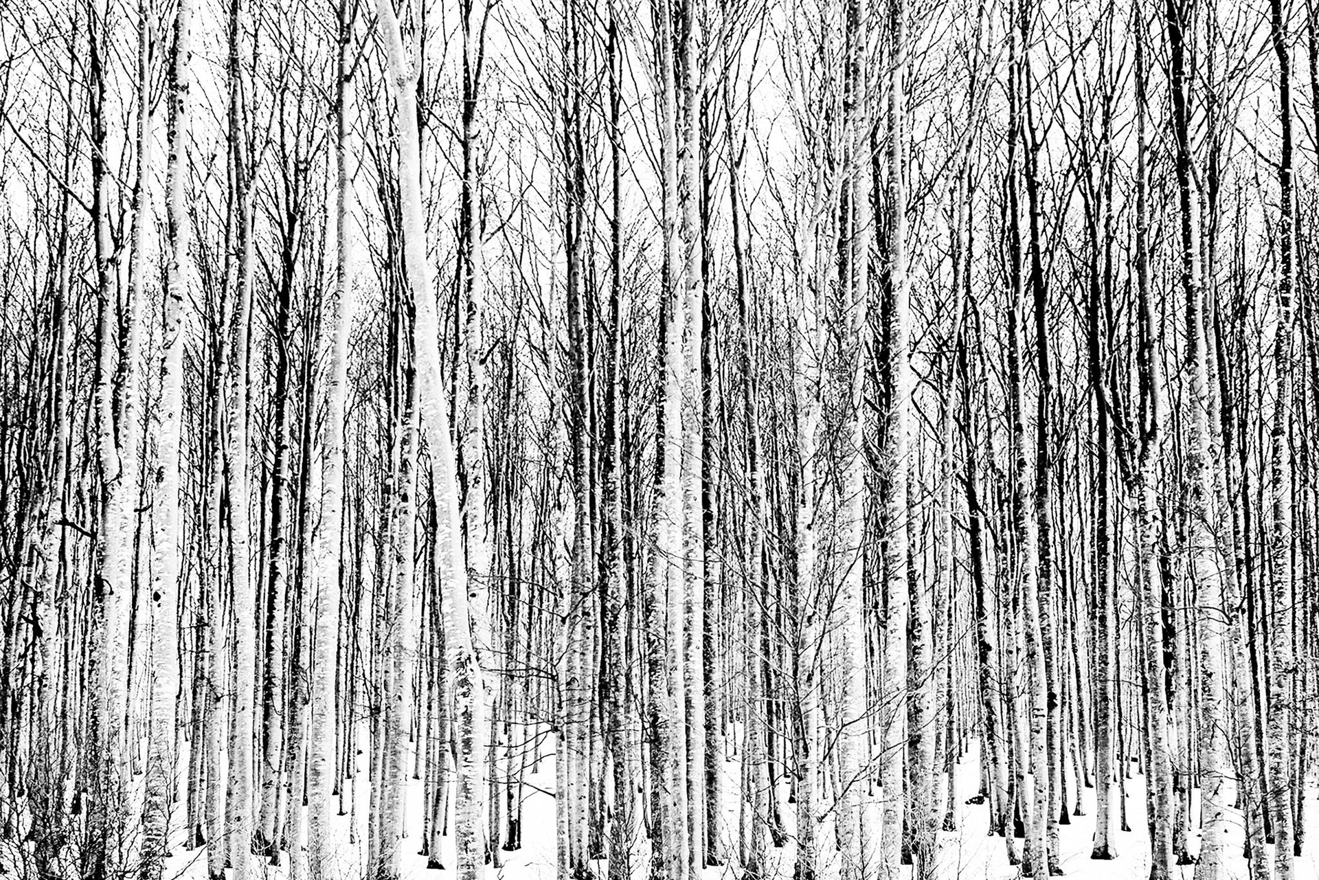 La mia foto tema Natura sul 3° volume