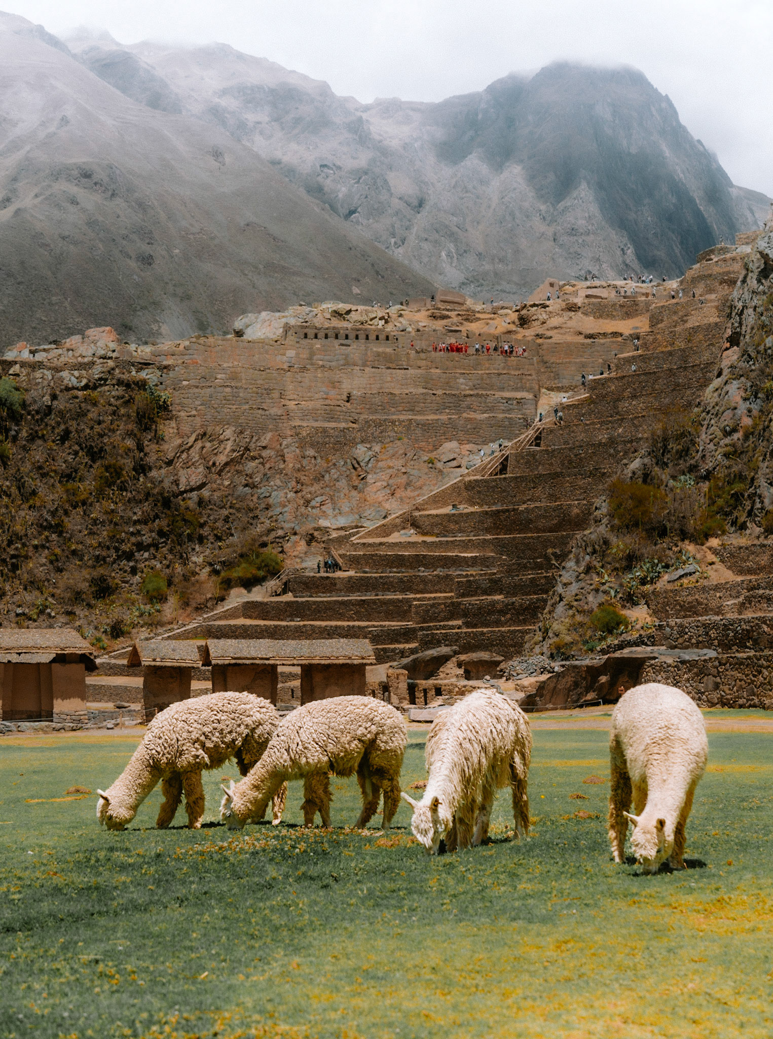 ollantaytambo, peru
