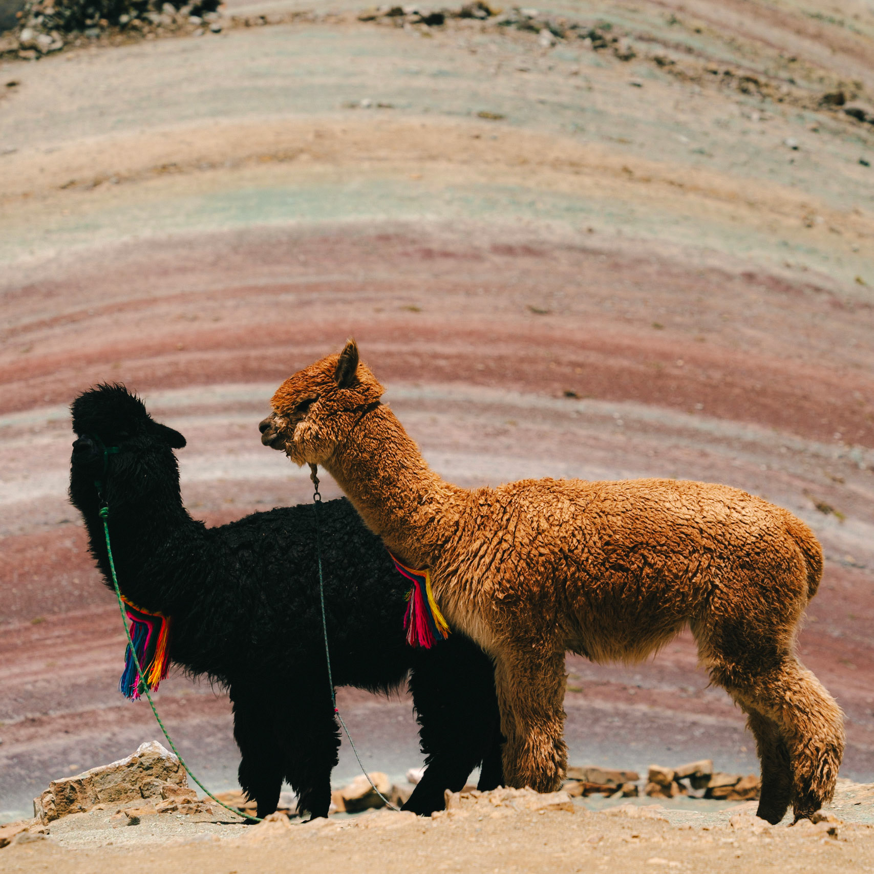 rainbow mtn, peru