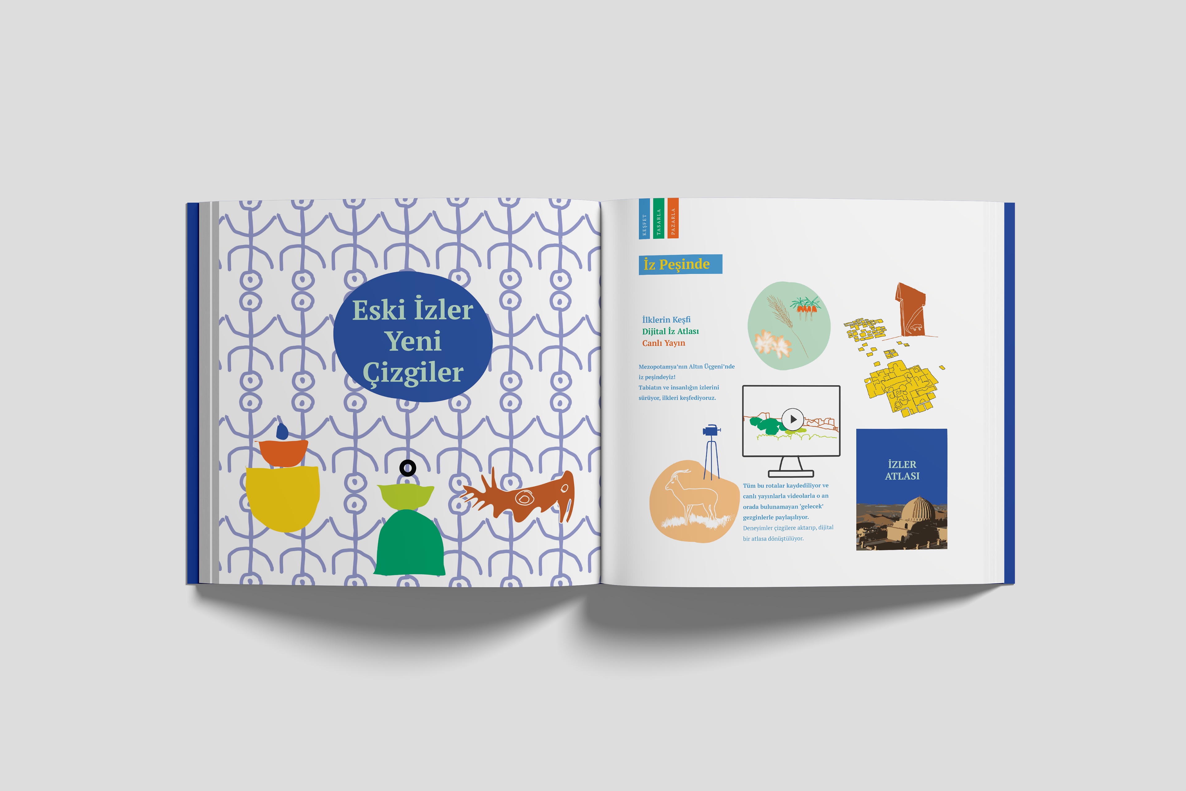 content creation and visual design