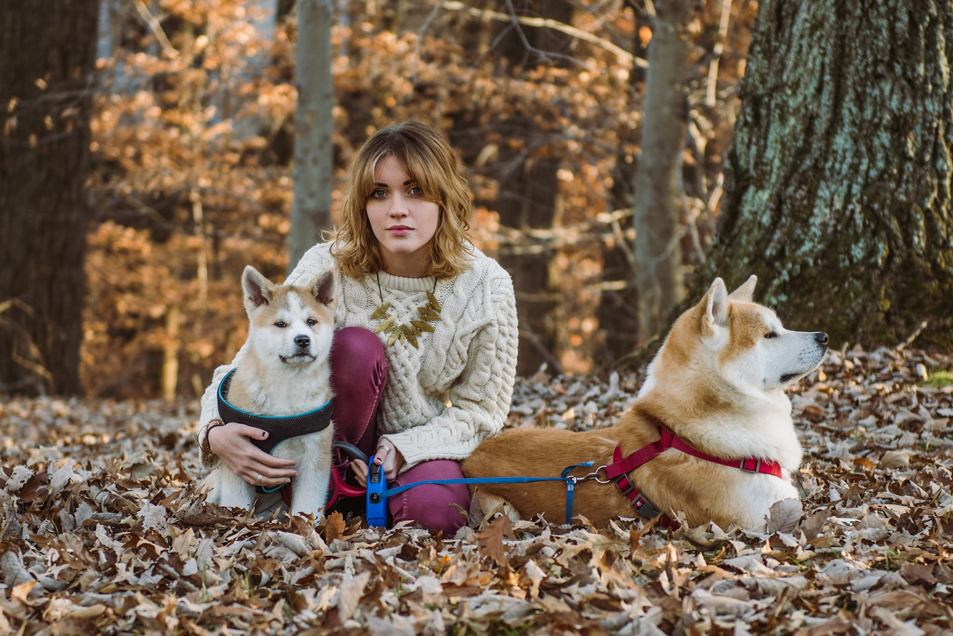 The Mung Mung Family