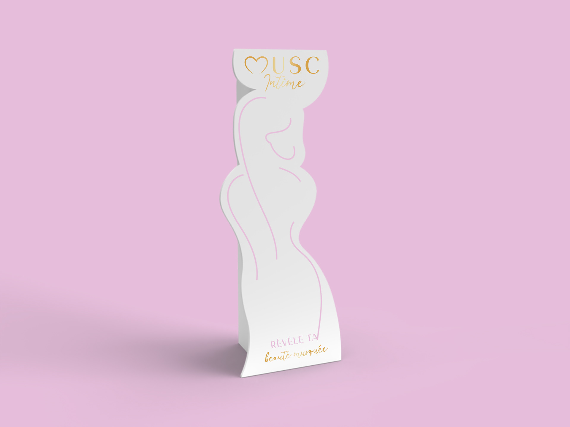 Mockup 3D carton