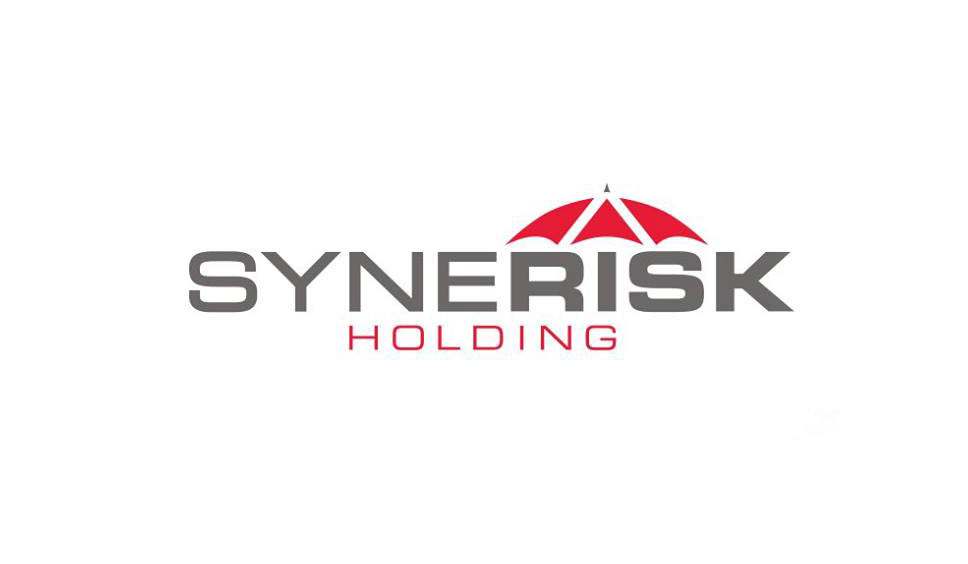 Synerisk Logo