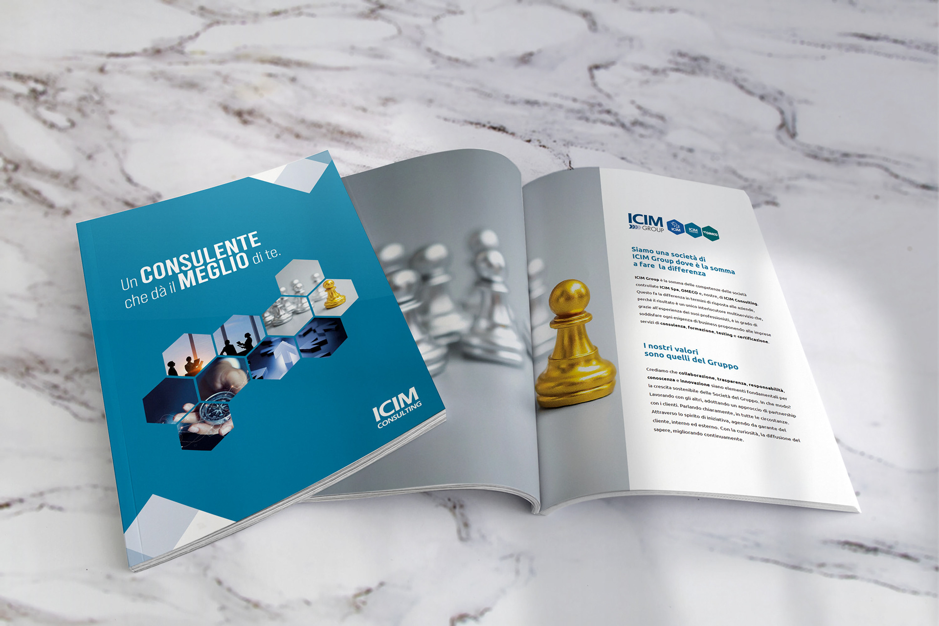 ICIM CONSULTING BROCHURE