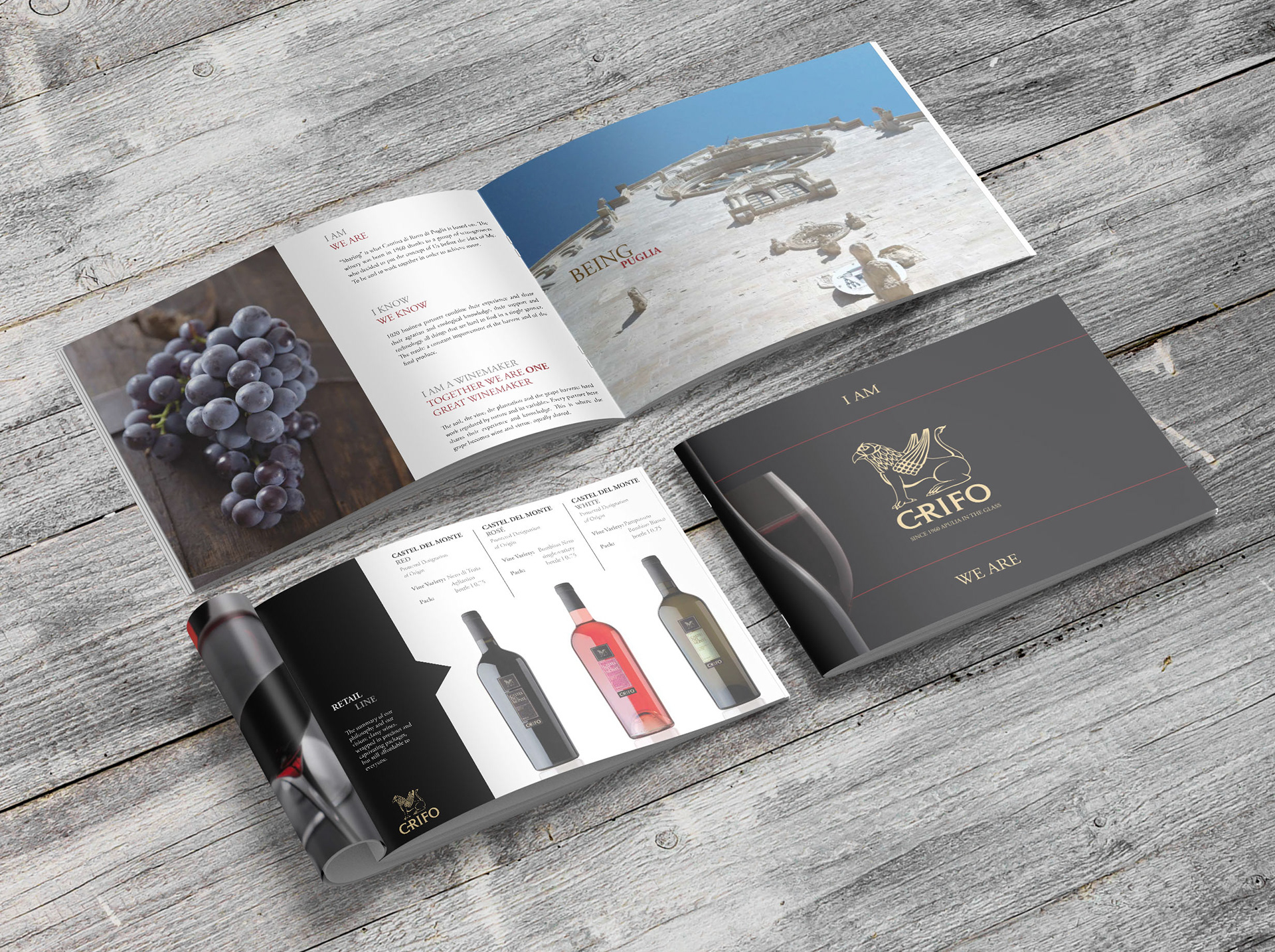 BROCHURE GRIFO