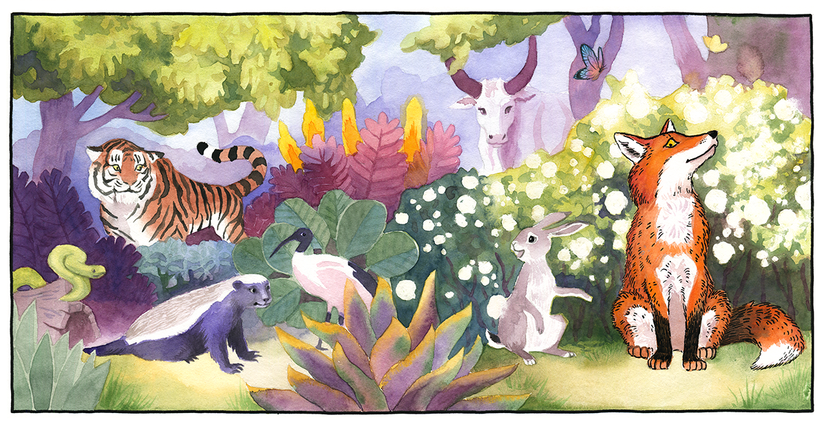 Animals in a forest setting with a proud fox as a main character. Spread illustration for "The King's Queen" by Joel Ackerman, illustrated by Latvian author and illustrator Renate Logina (RenLoArt). Watercolor and ink.