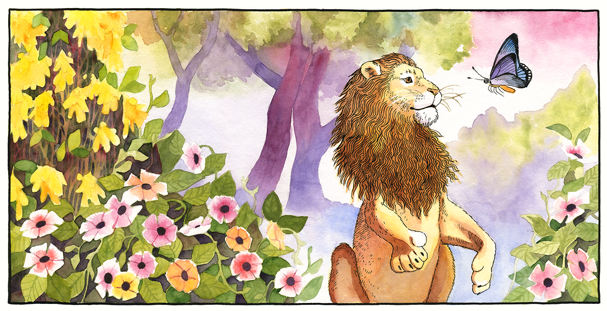 Lion playing with a butterfly among flowers. Spread illustration for "The King's Queen" by Joel Ackerman, illustrated by Latvian author and illustrator Renate Logina (RenLoArt). Watercolor and ink.