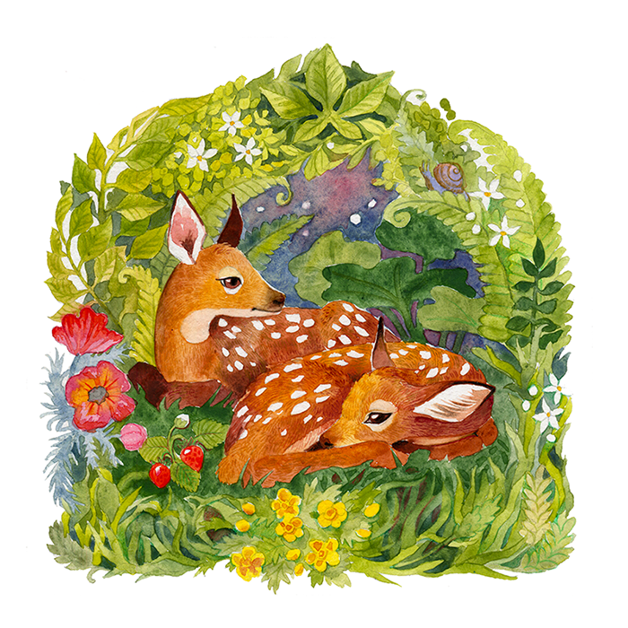 Full page illustration of children's picture book "Velc, pelite!" by Renate Logina (RenLoArt). Two fawns resting among greens and flowers, watercolor and pencil.