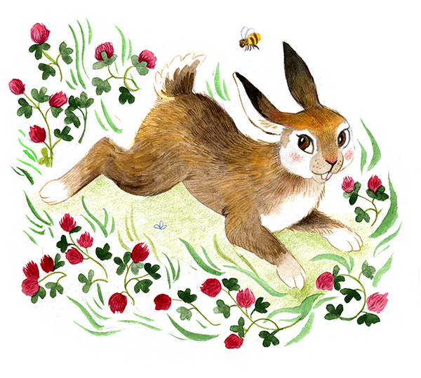 Rabbit among flowers. Spot illustration for "Latgales meža pasaka" by Latvian author and illustrator Renate Logina (RenLoArt). Bērnu bilžu grāmatas ilustrācija. Trusēns starp āboliņiem. Watercolor and pencil.