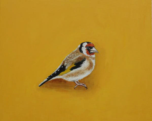 Stieglitz, 2016, Öl auf Leinwand, 50x60cm