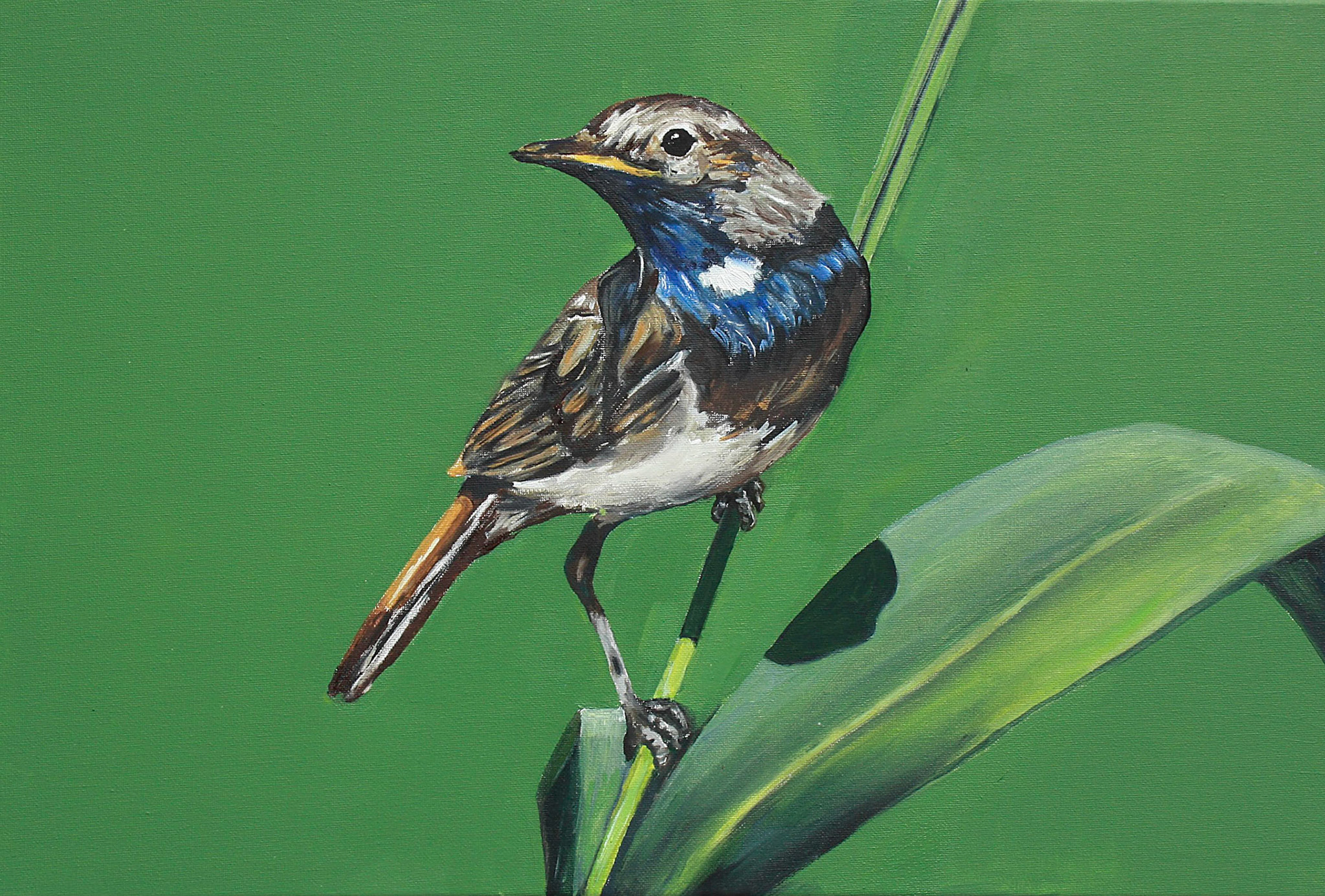 Wasserrohramsel, 2016, Öl auf Leinwand, 40x60cm