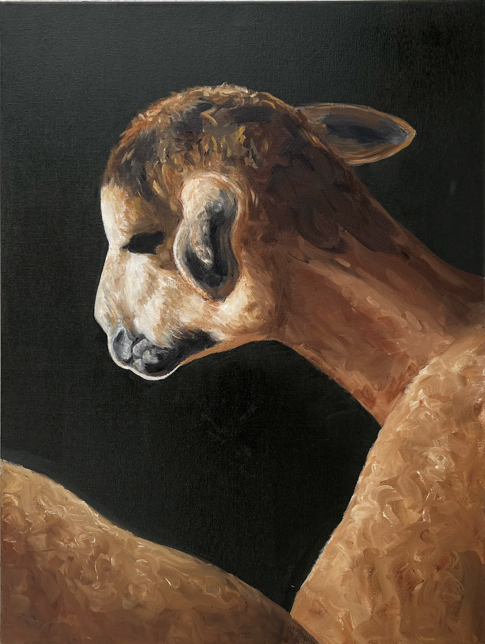 Melancholisches Schaf, 2023, Öl auf Leinwand, 80x60cm