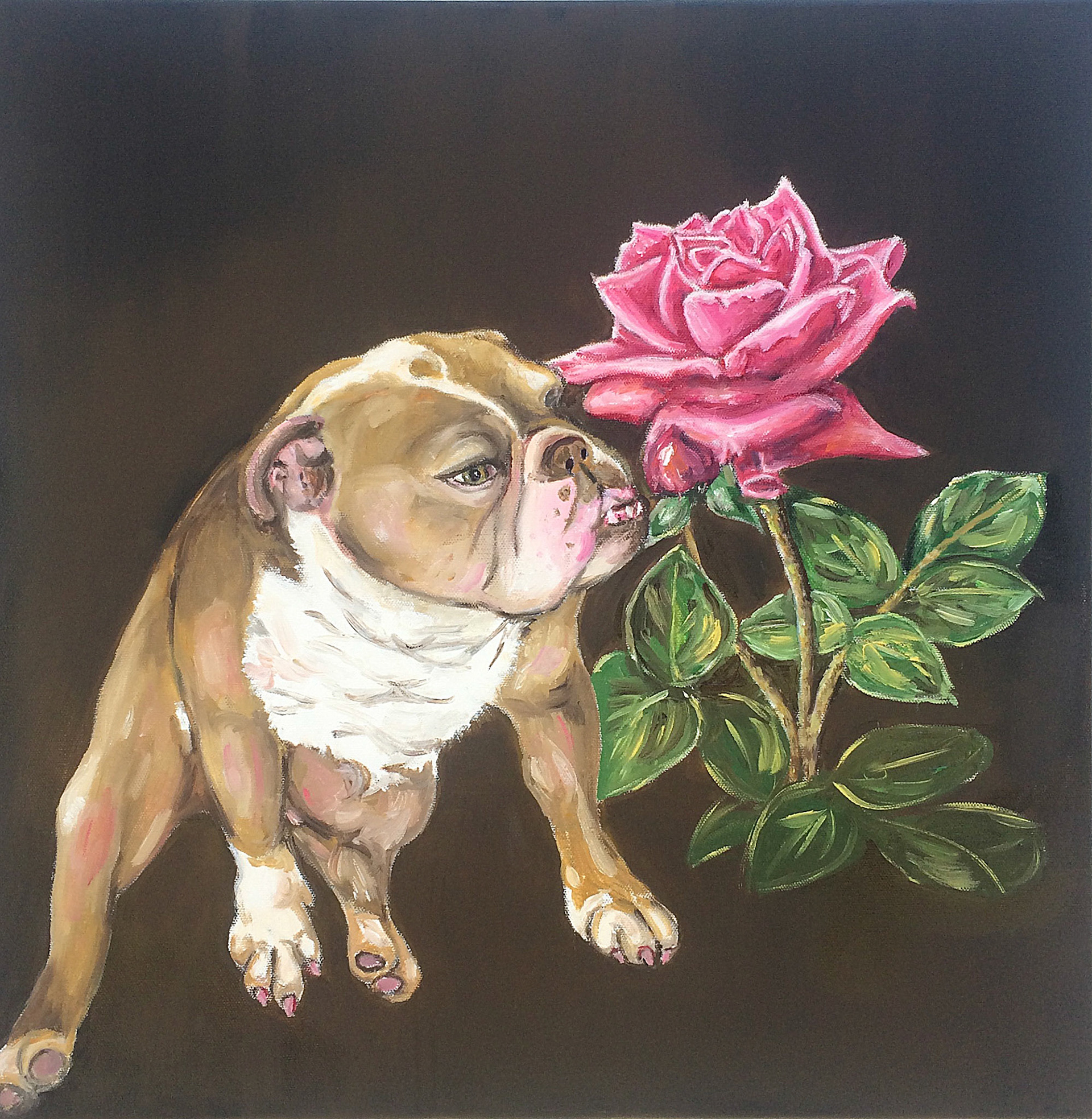 Des Züchters Stolz, 2019, Öl auf Leinwand, 40x40cm