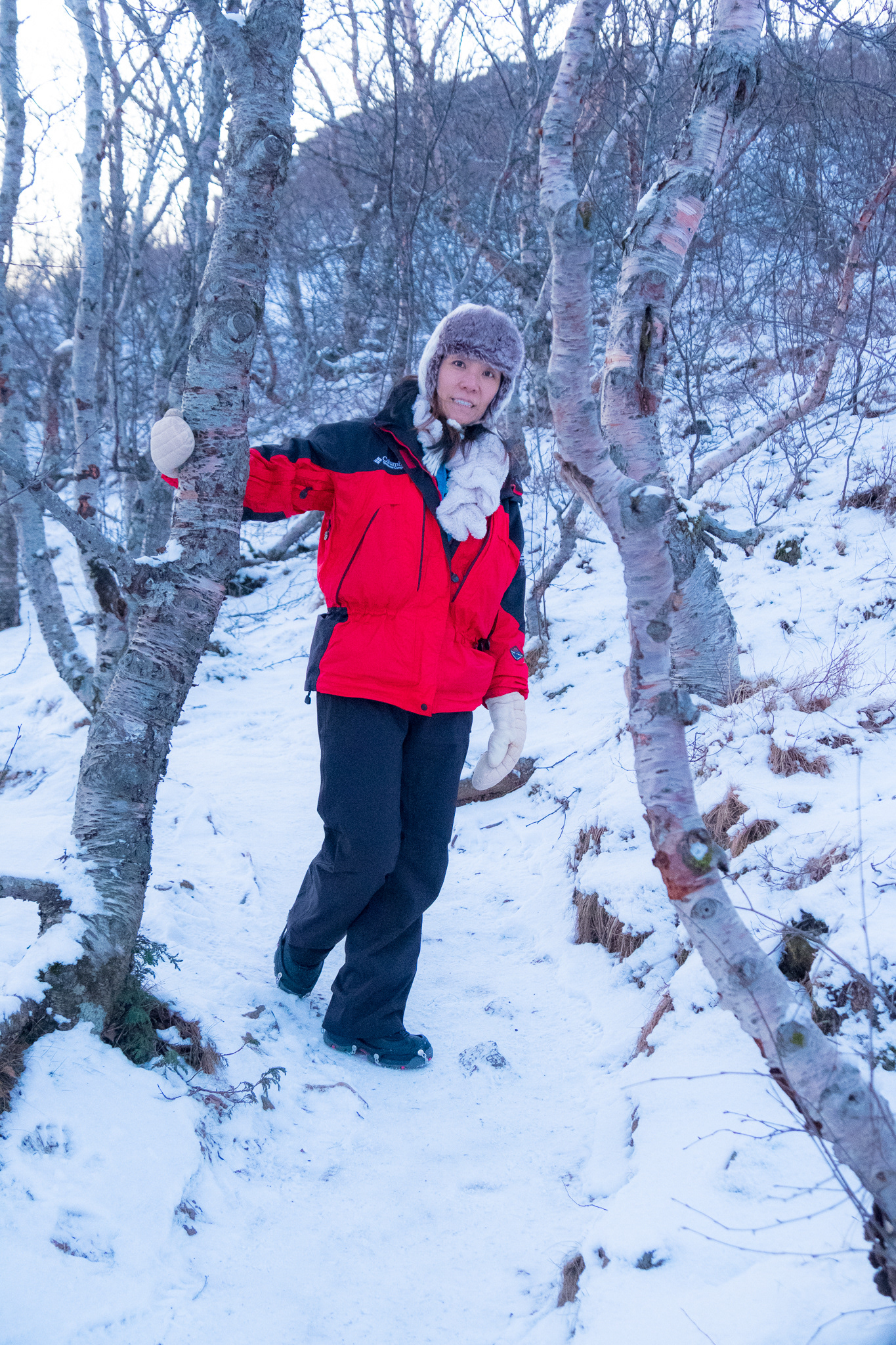Pingvellir National Park