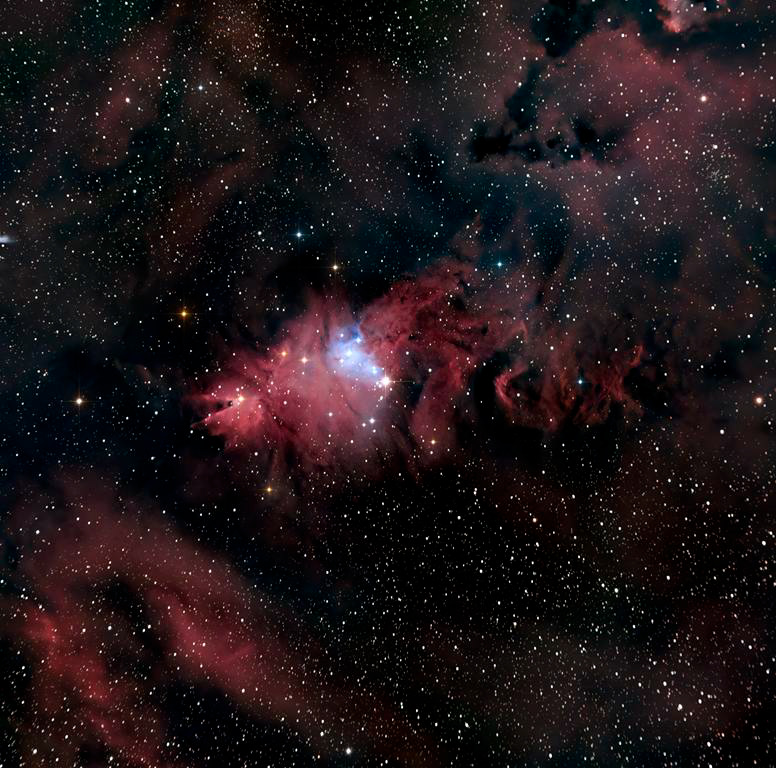 NGC 2264  N. del Cono