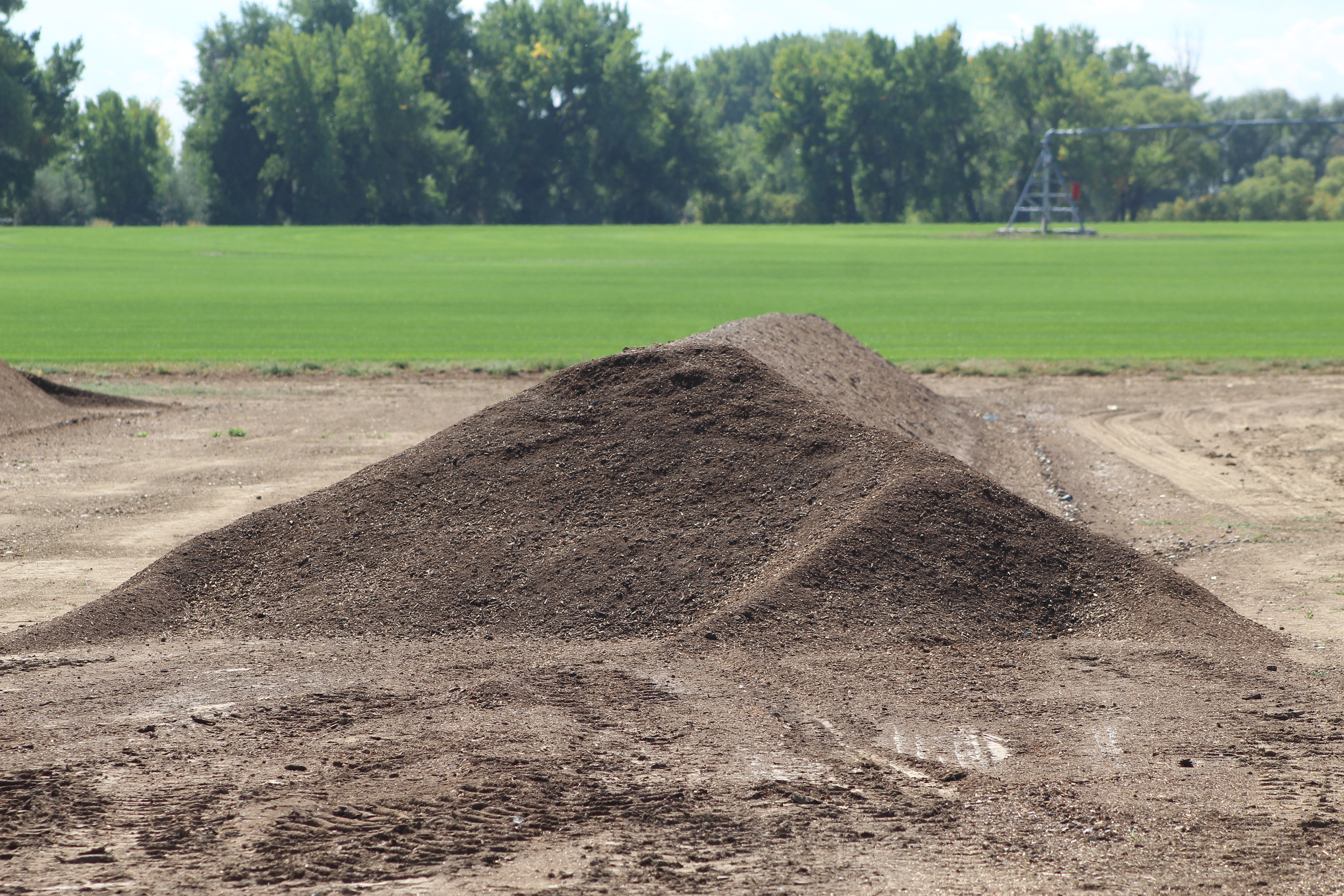 Compost that is 3 months old