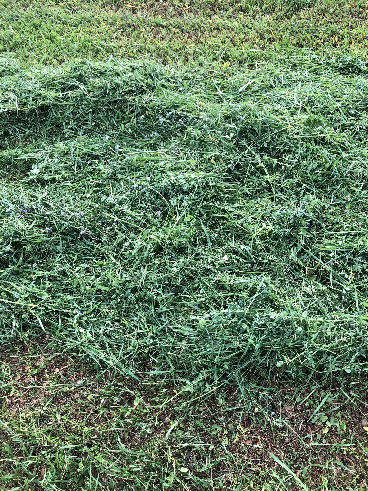 Same field. The windrow was approximately 5 feet away with our soil used as a top dressing.