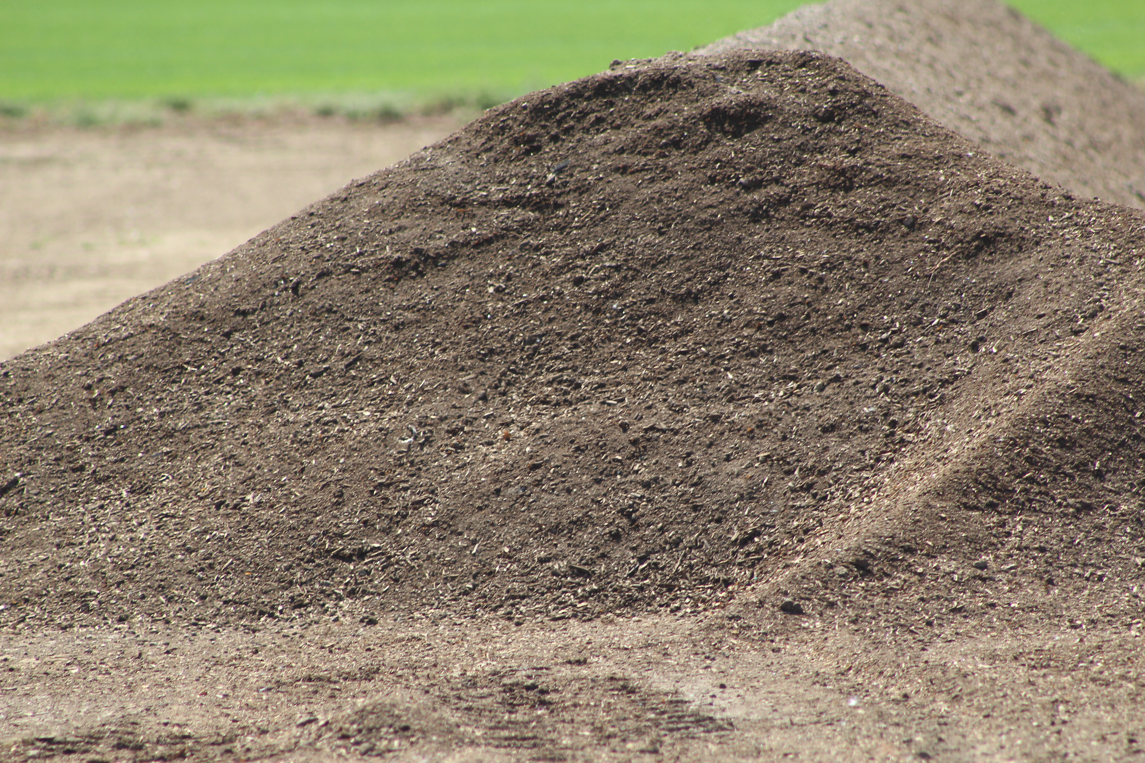 Compost that is 3 months old. 