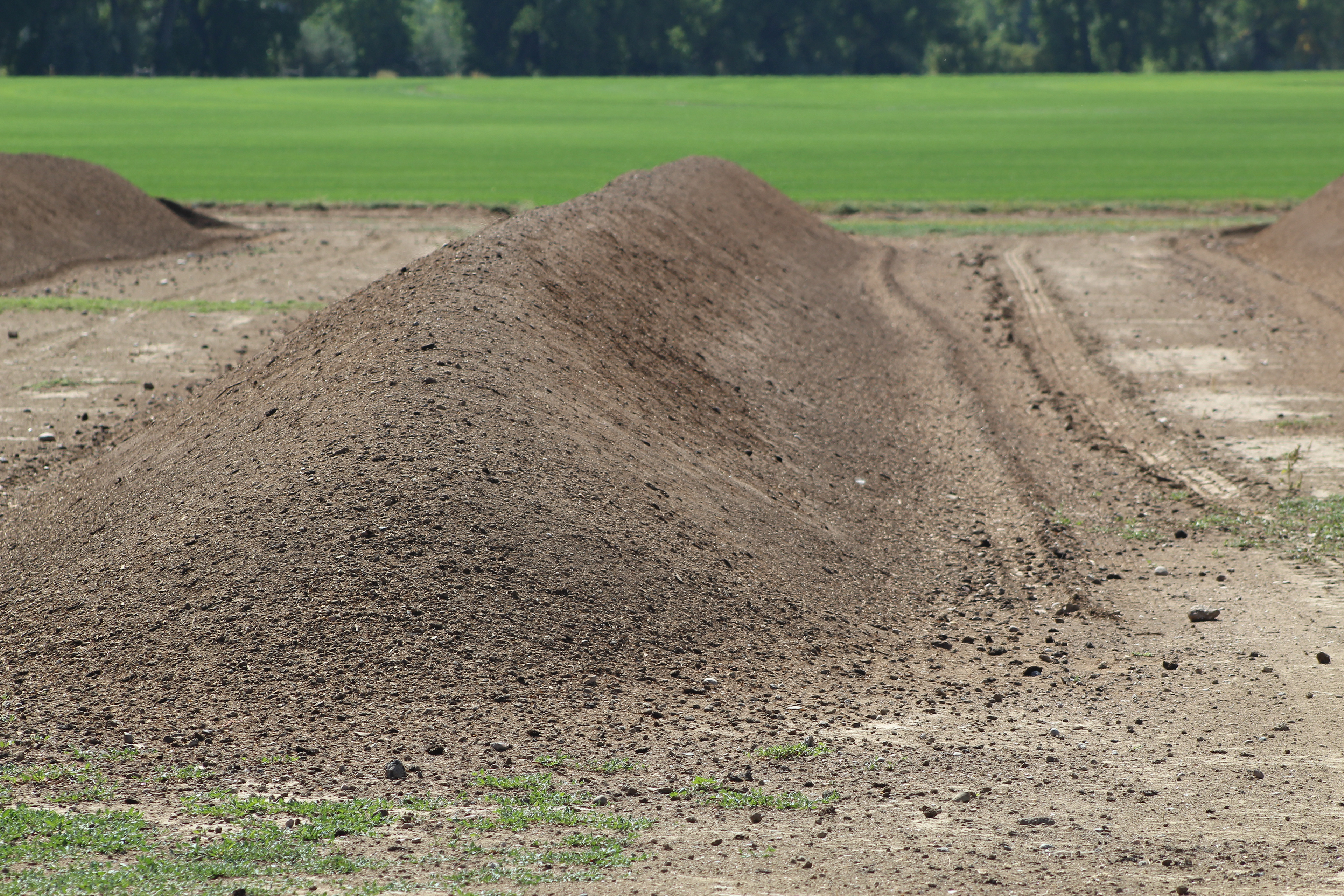 Compost 2 months old