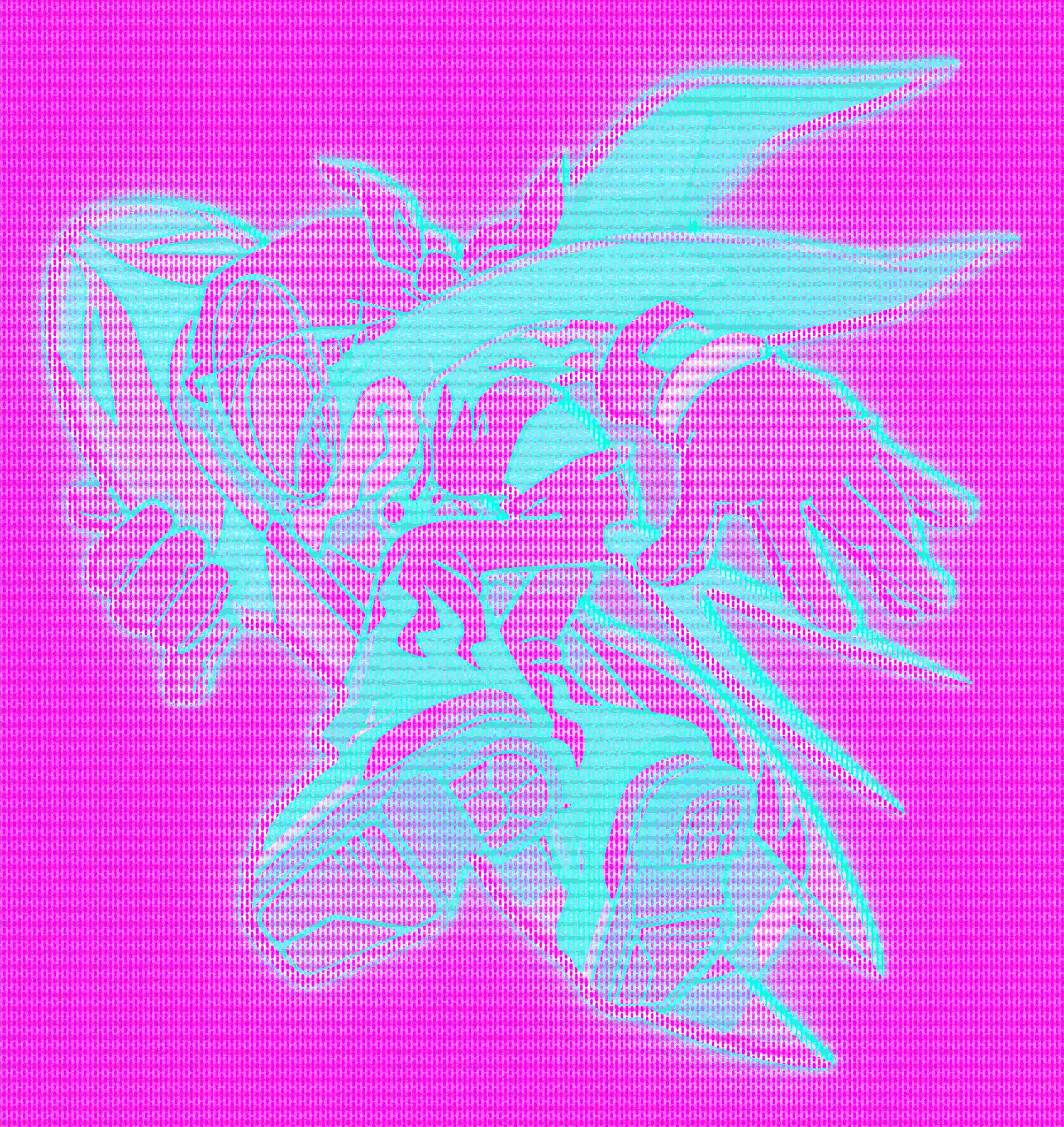 a piece of graphic design representing Wave the Swallow from Sonc Riders