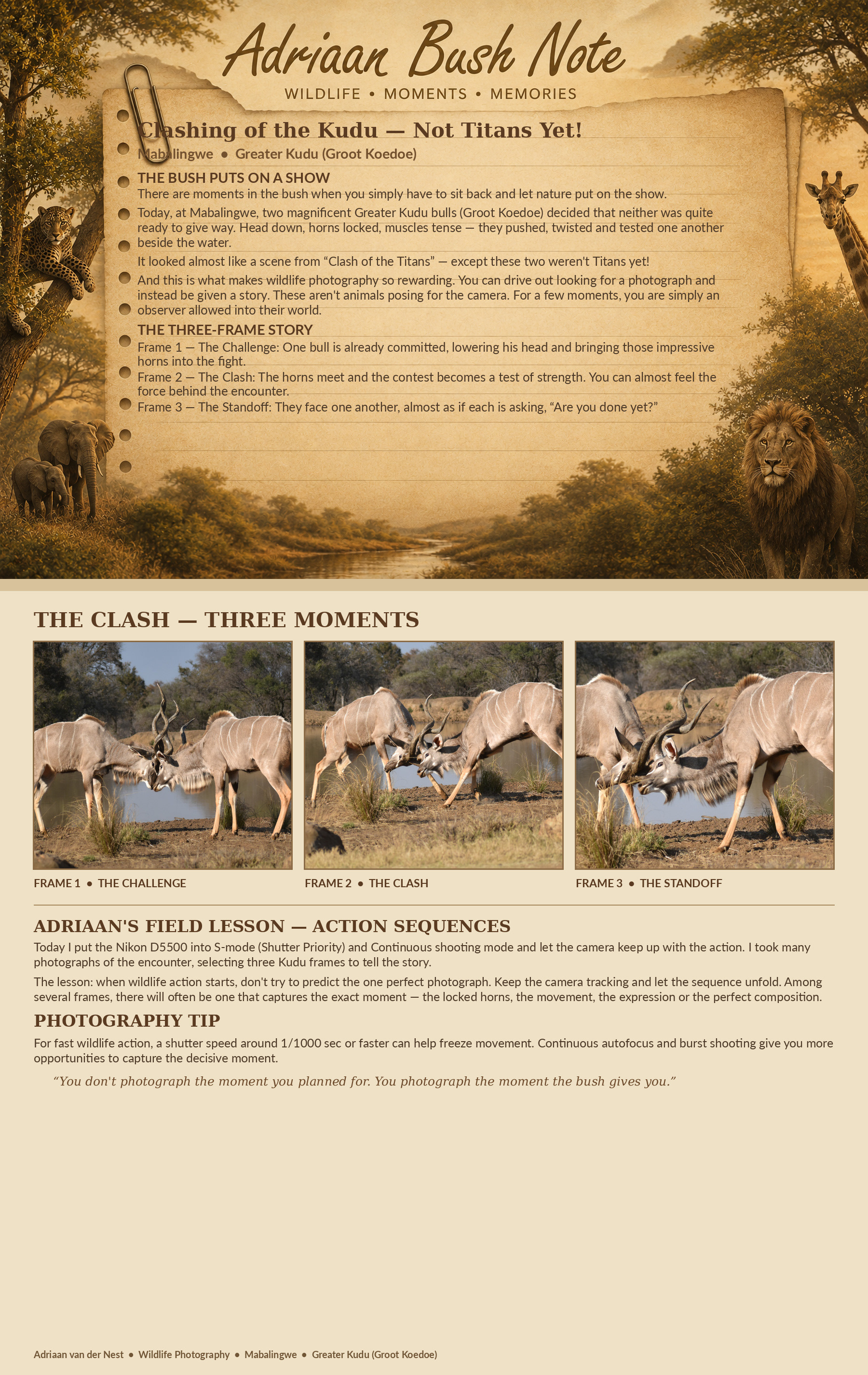 Clashing of the Kudu's