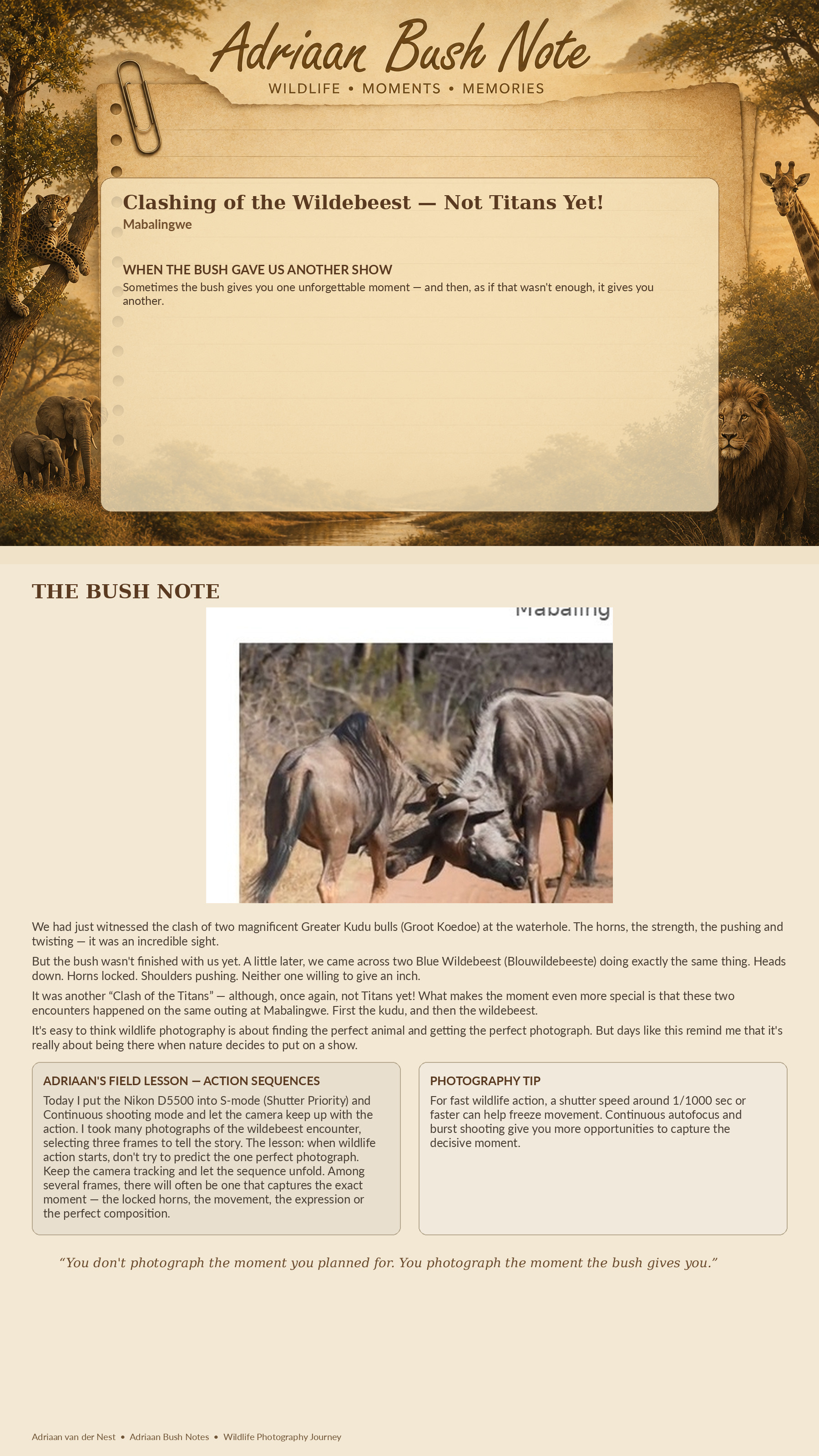 Clashing of the Wildebeest