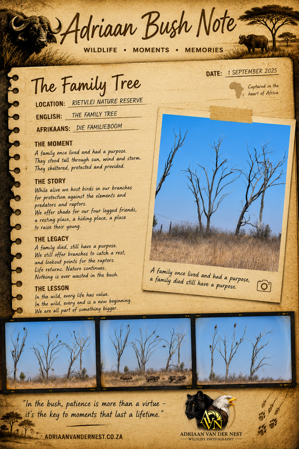 The Family Tree