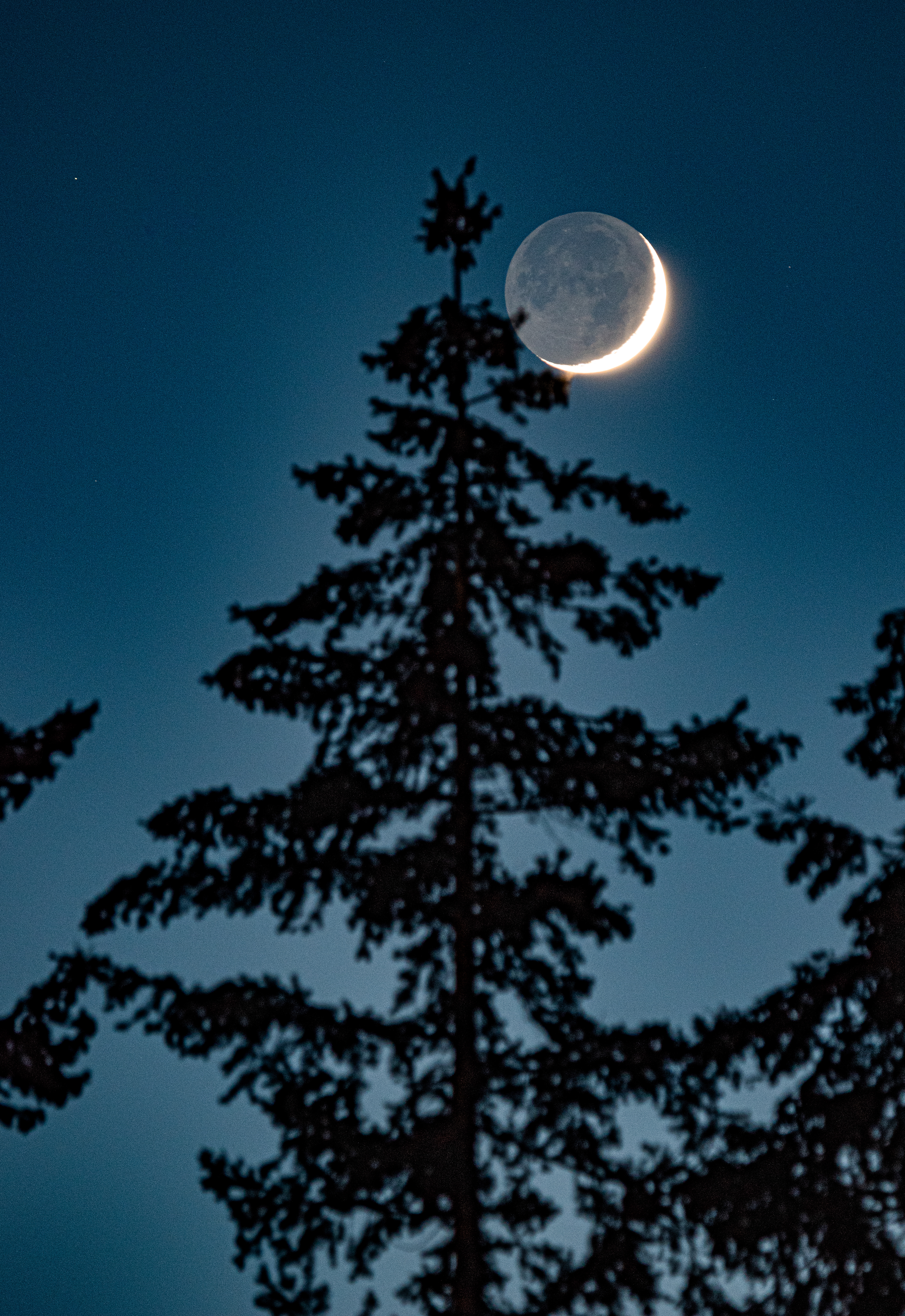 Crescent moon with earthshine.
