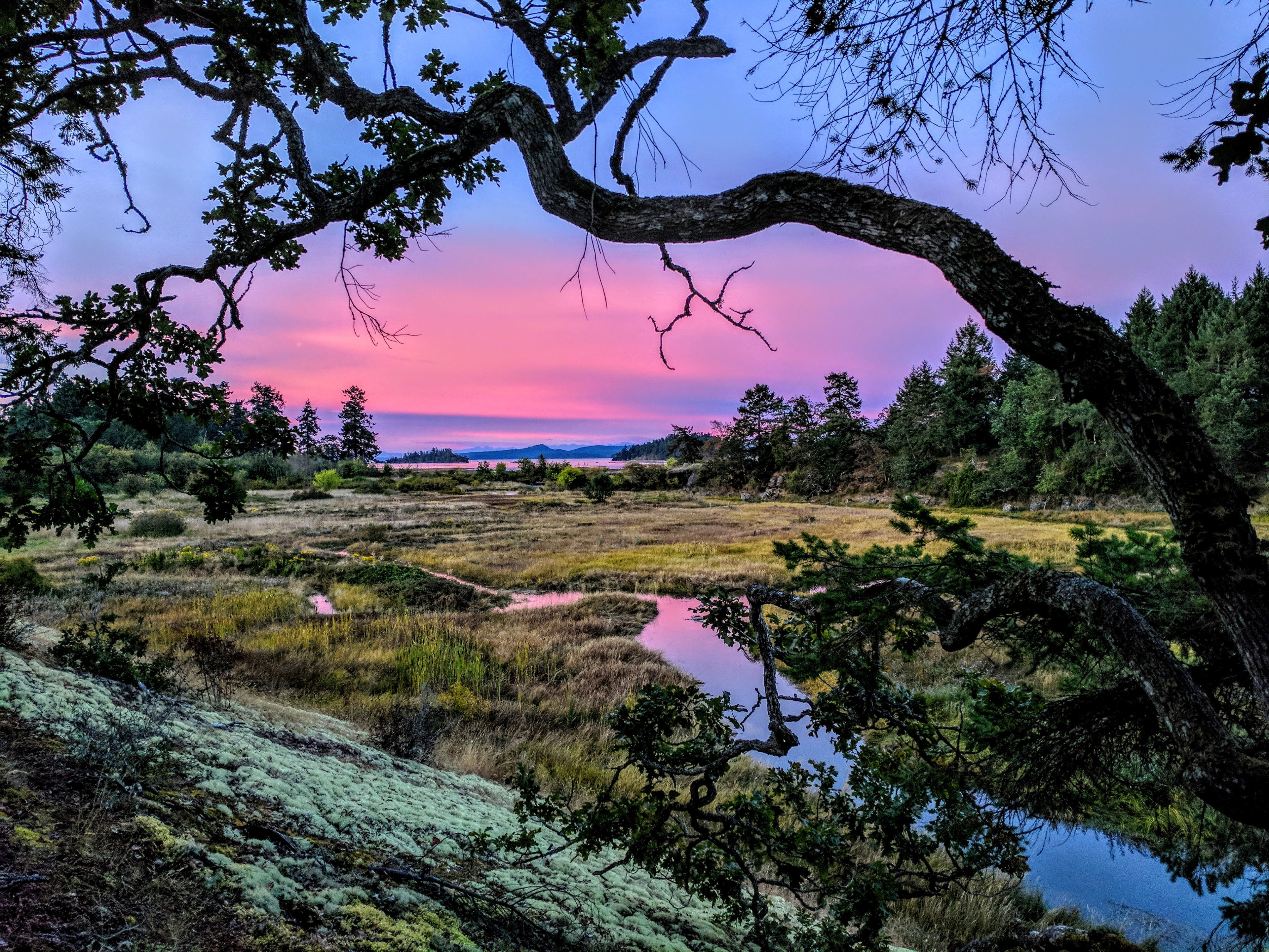 Chemainus River Estuary, Vancouver Island