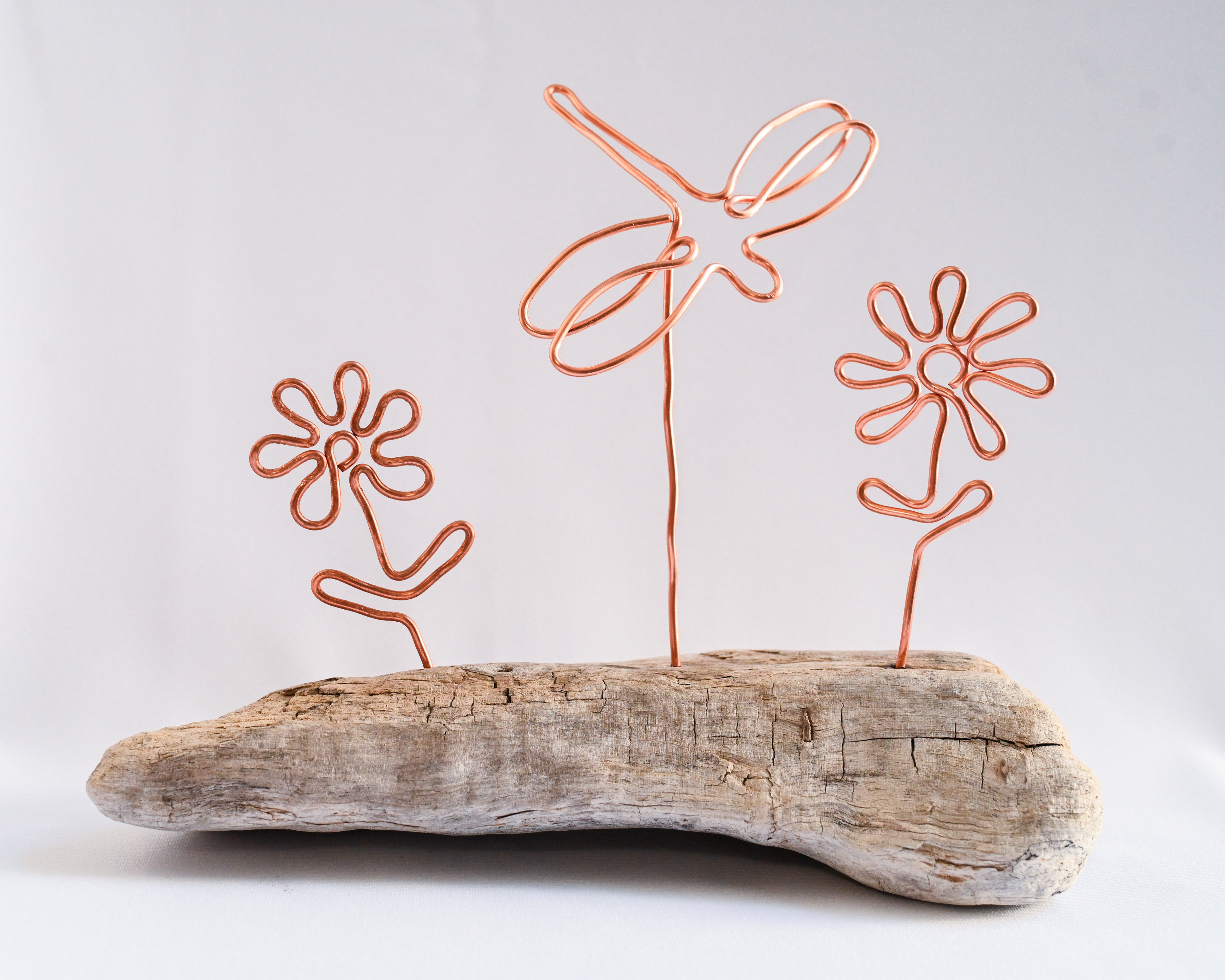 "Fly by", 9.5 x 3.25 x 5.75, Copper, Vancouver Island driftwood, $55